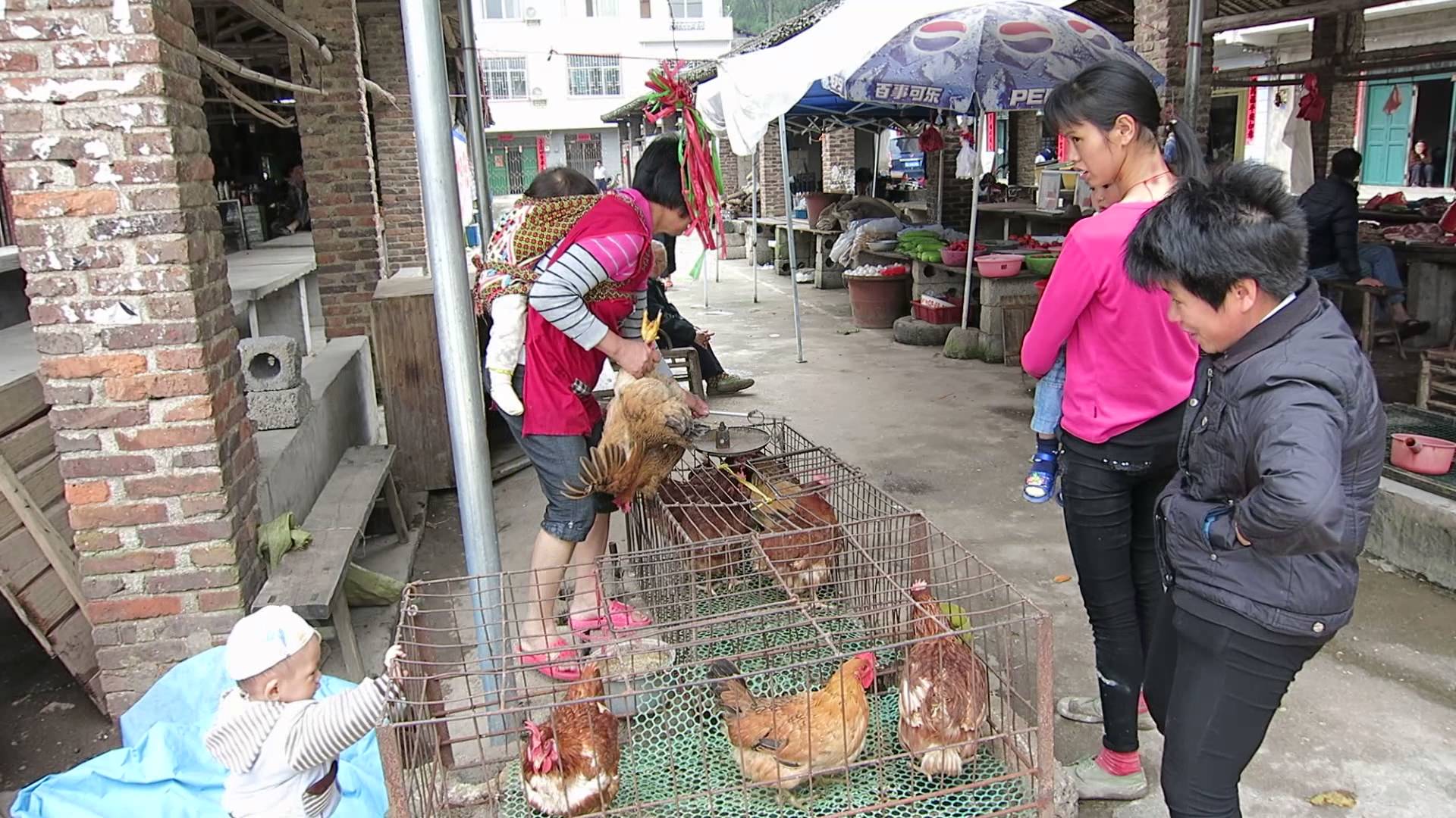 Woman buys a chicken at rural market on China Backroads Day 5 - YouTube
