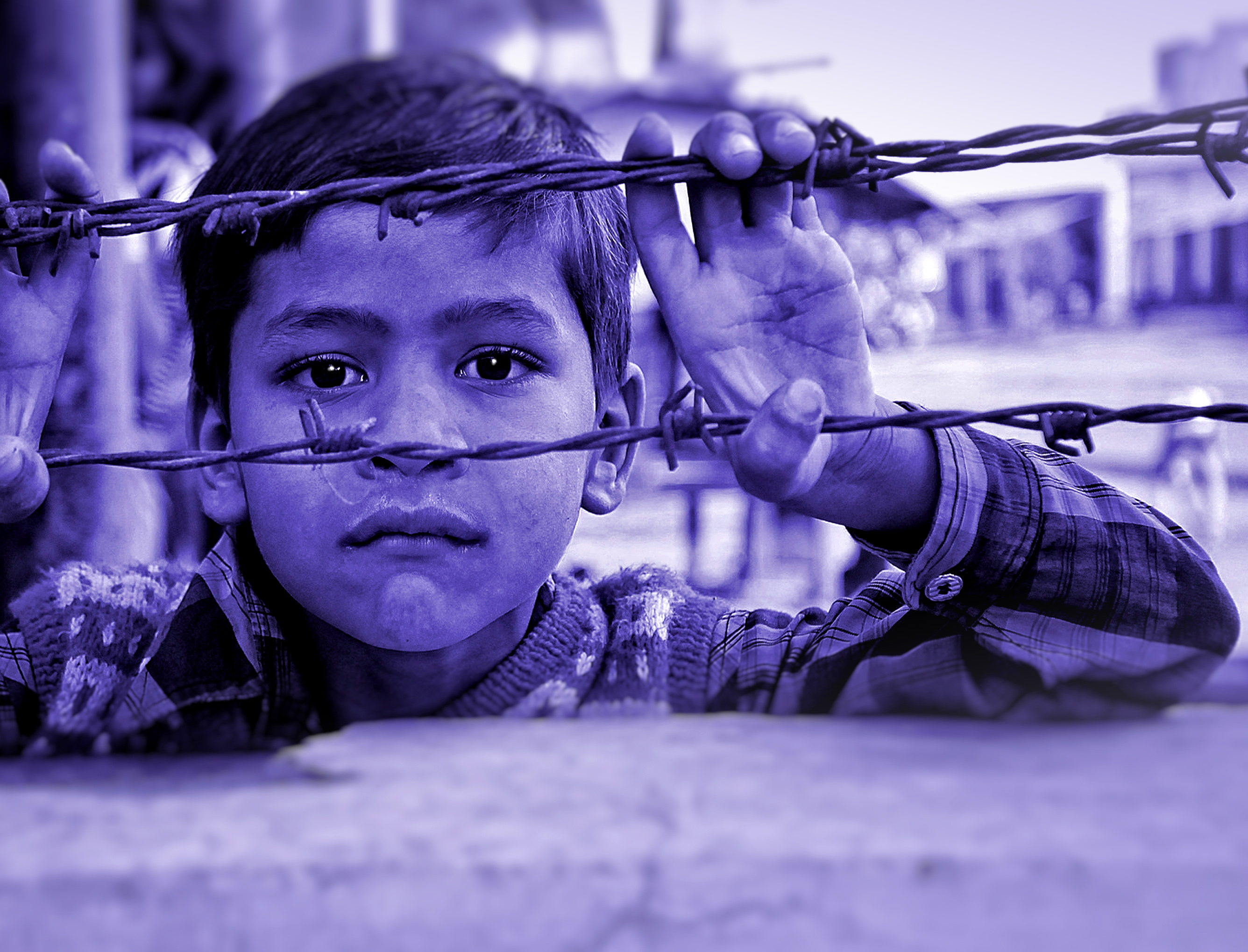 Child and barbed wire photo