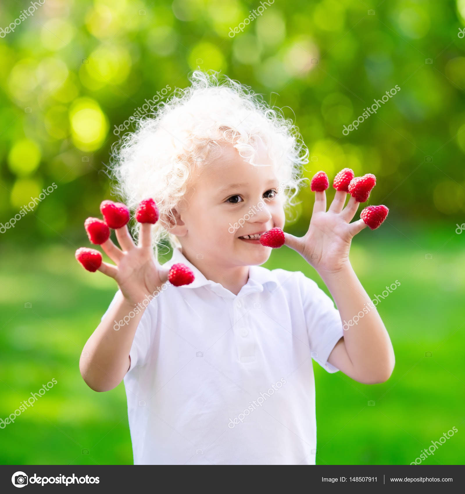 Child picking and eating raspberry in summer — Stock Photo ...