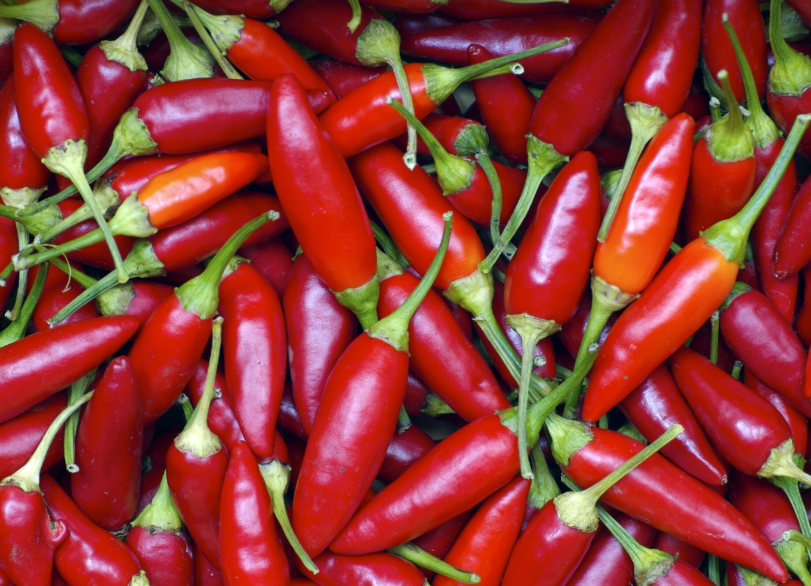 New evidence that chili pepper ingredient fights fat - American ...