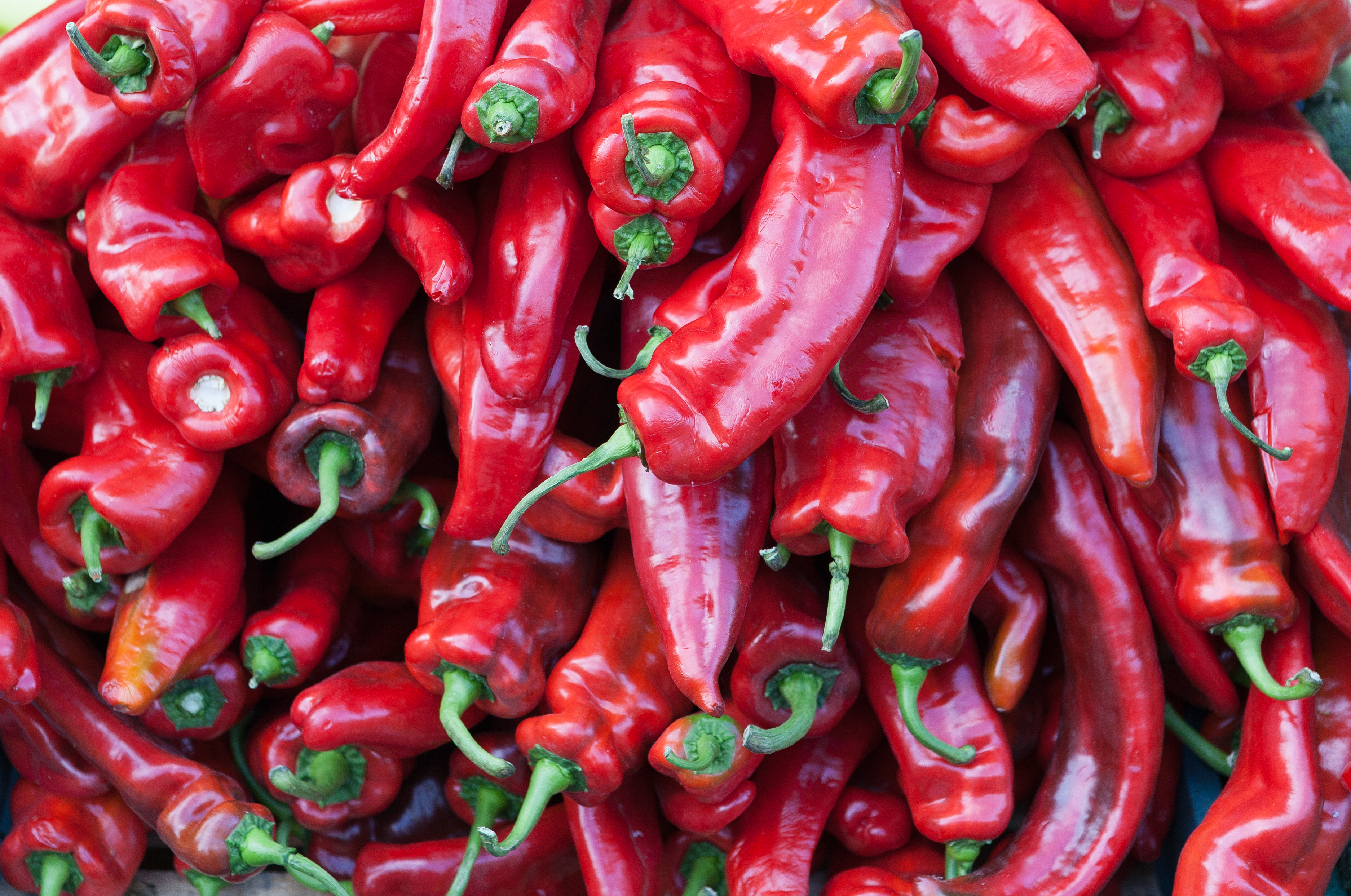 File:Red hot chilli peppers.jpg - Wikimedia Commons
