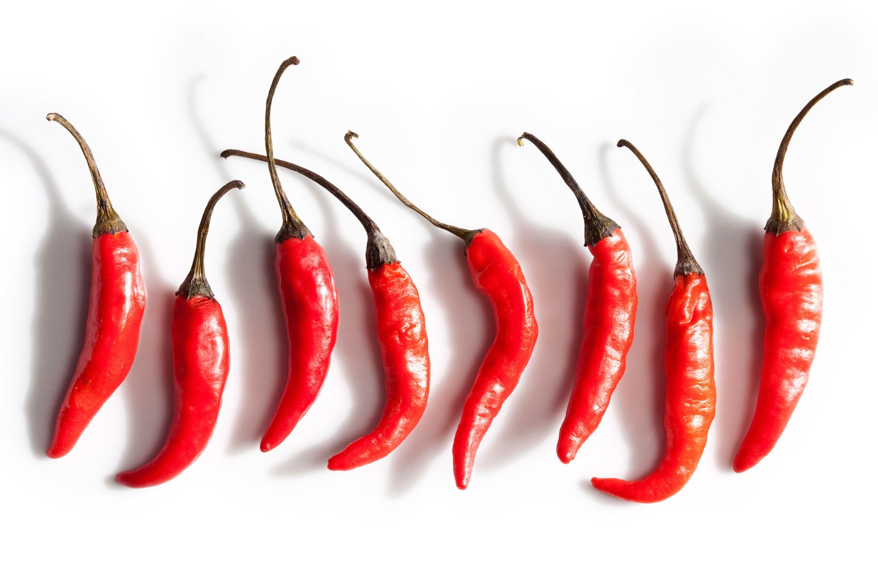 Irving Penn still life - chili peppers | Still life | Pinterest ...