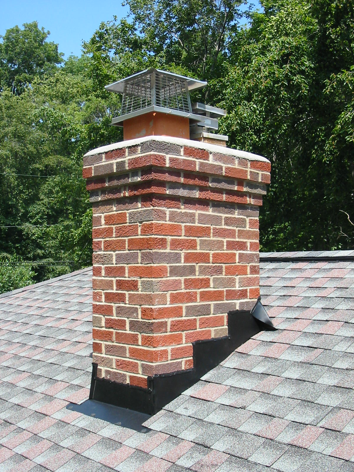 Chimney Nuisance Removal | D & D Wildlife Control | Skunk Removal ...