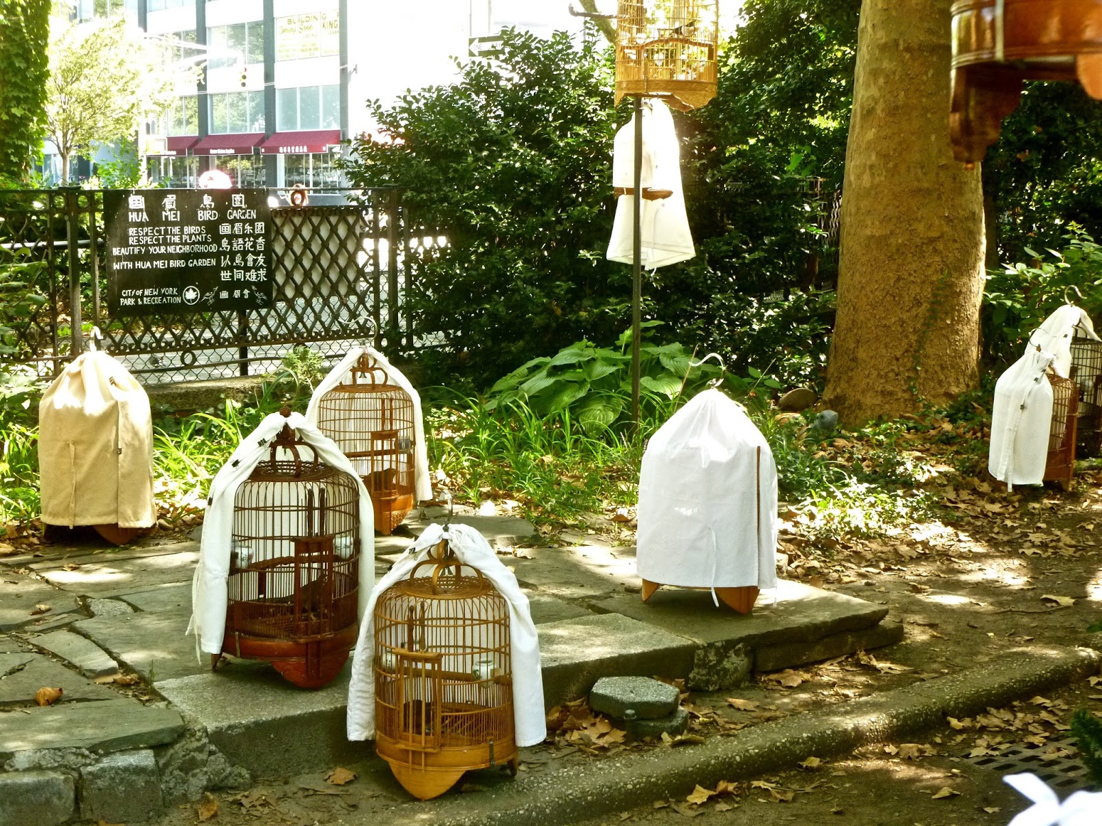 Jeremiah's Vanishing New York: Hua Mei Bird Garden