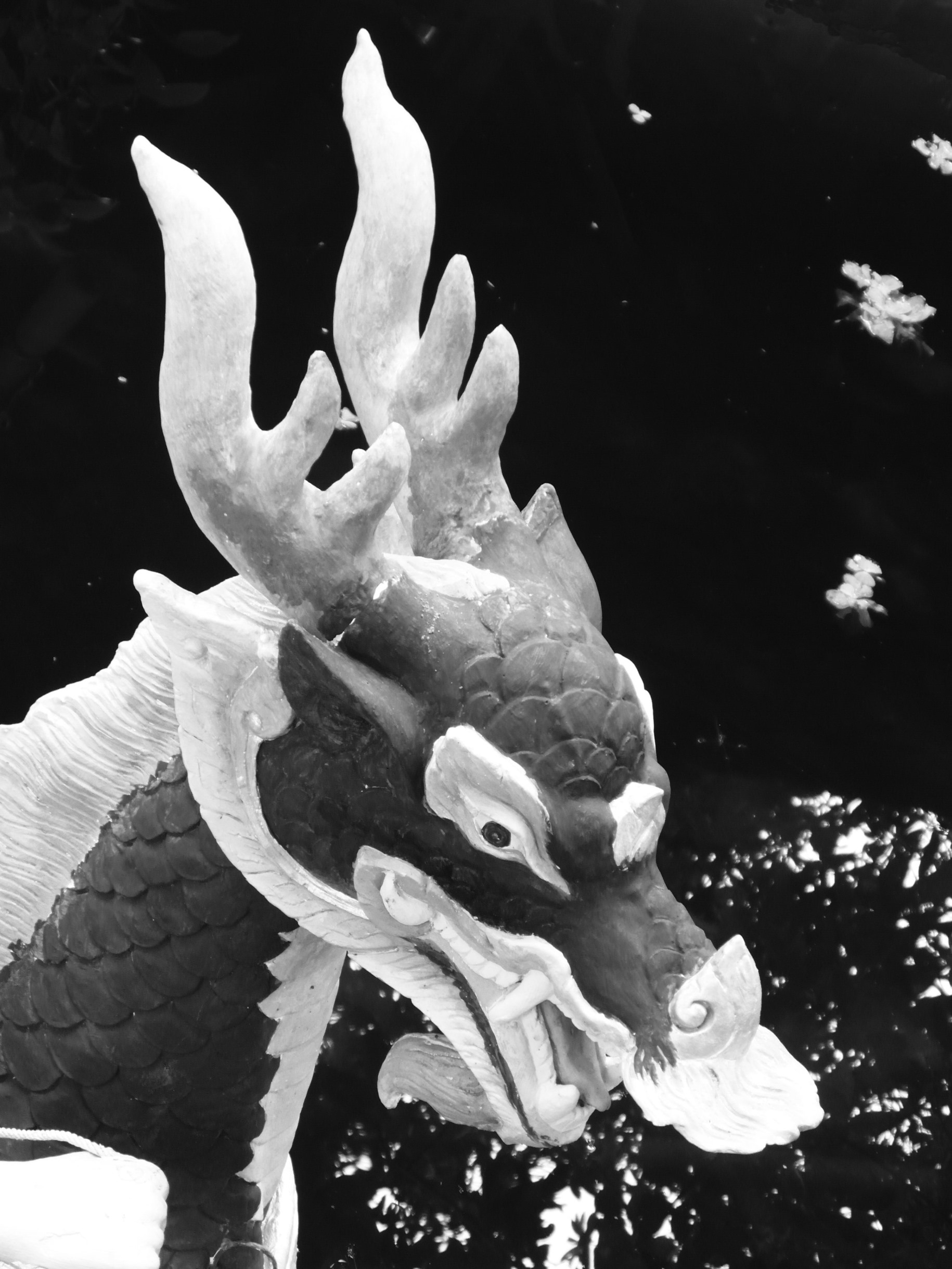 Chinese dragon black and white photo