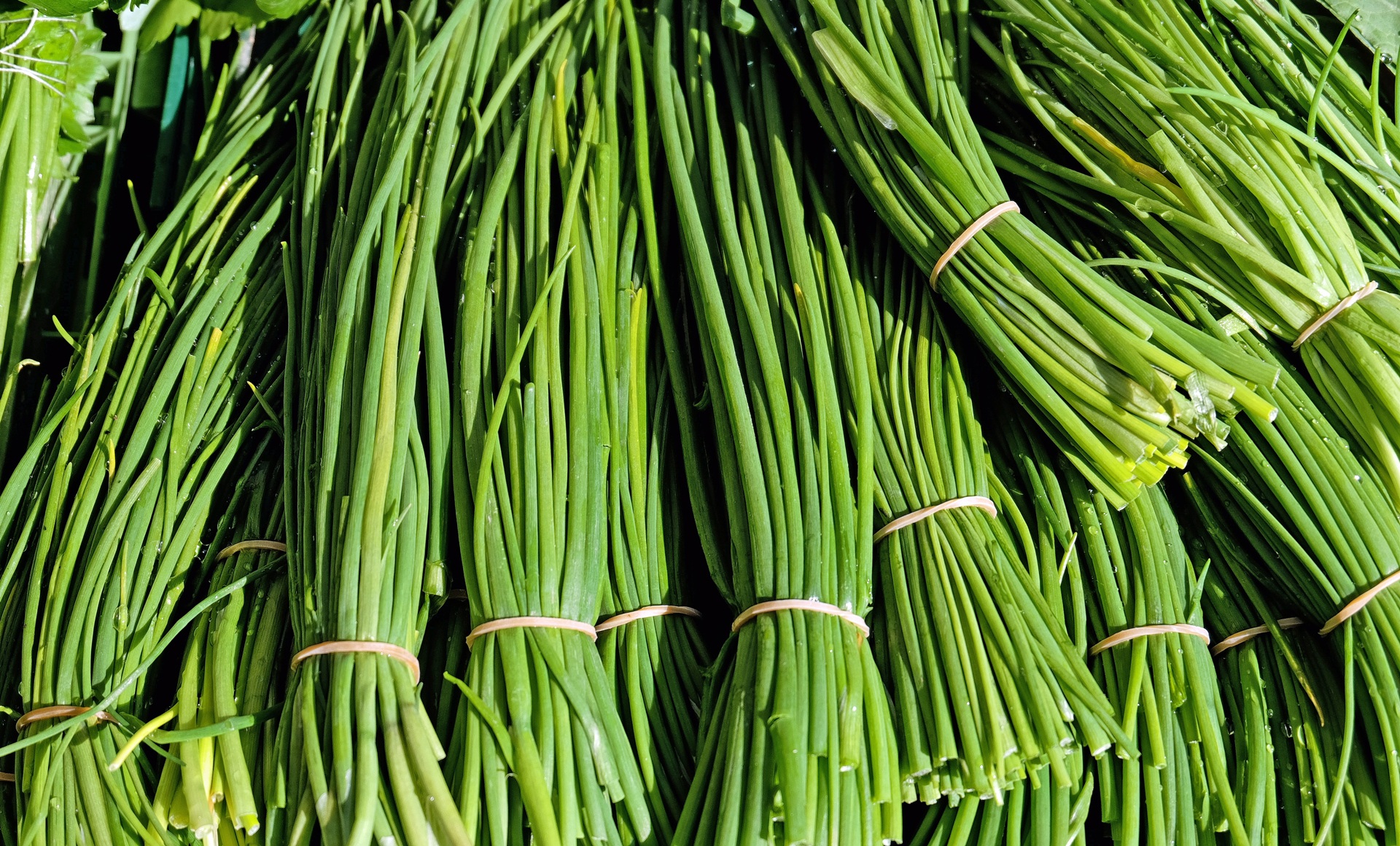 Weight Equivalents: Chives