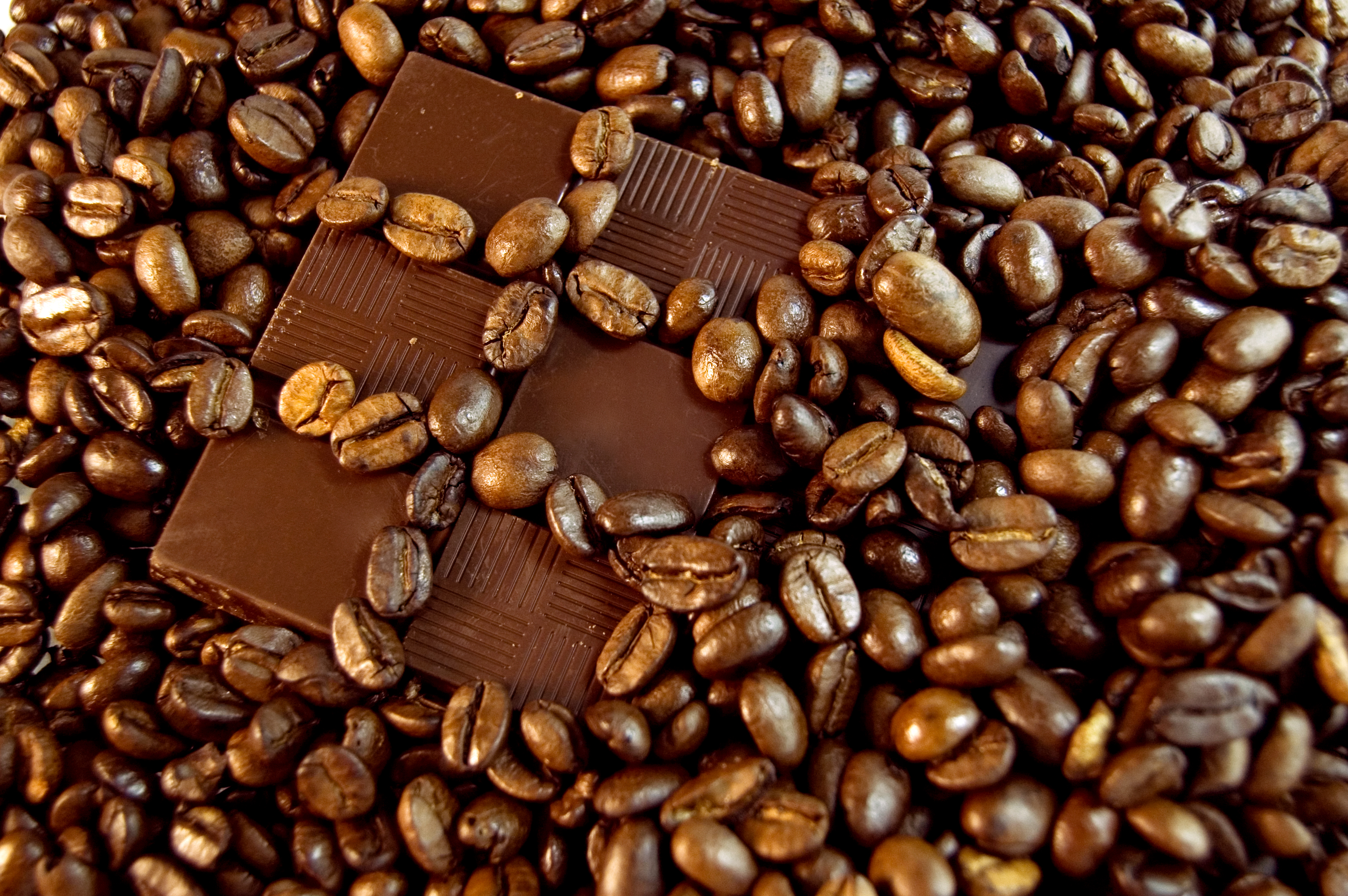 Chocolate and coffee photo