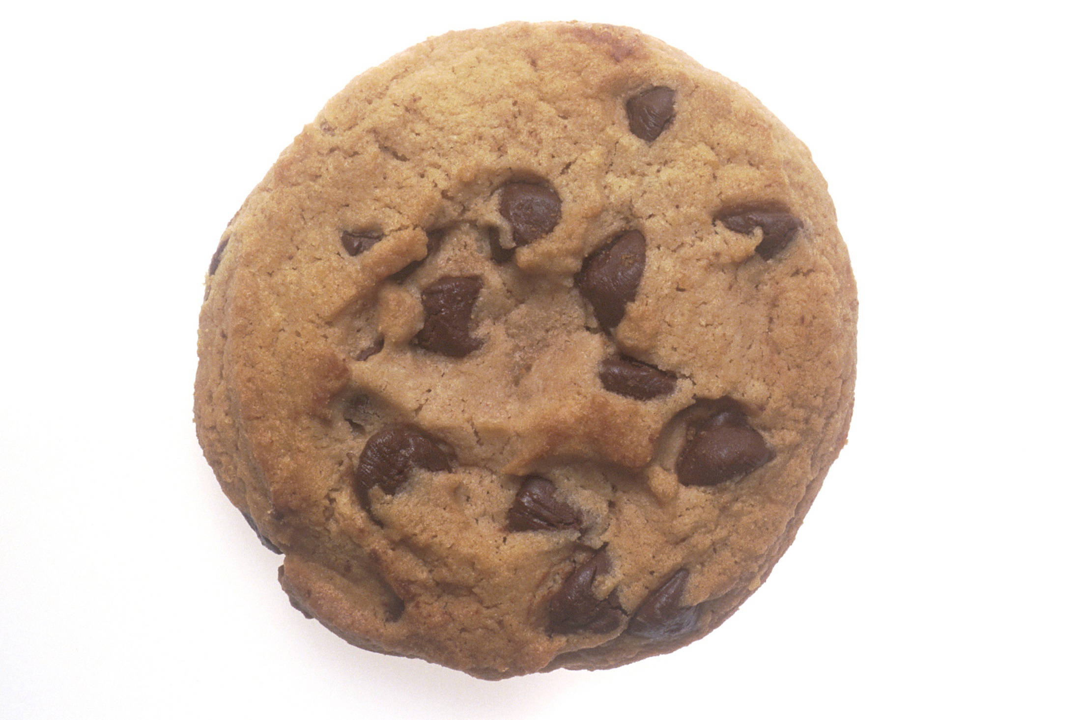 Chocolate chip cookie photo