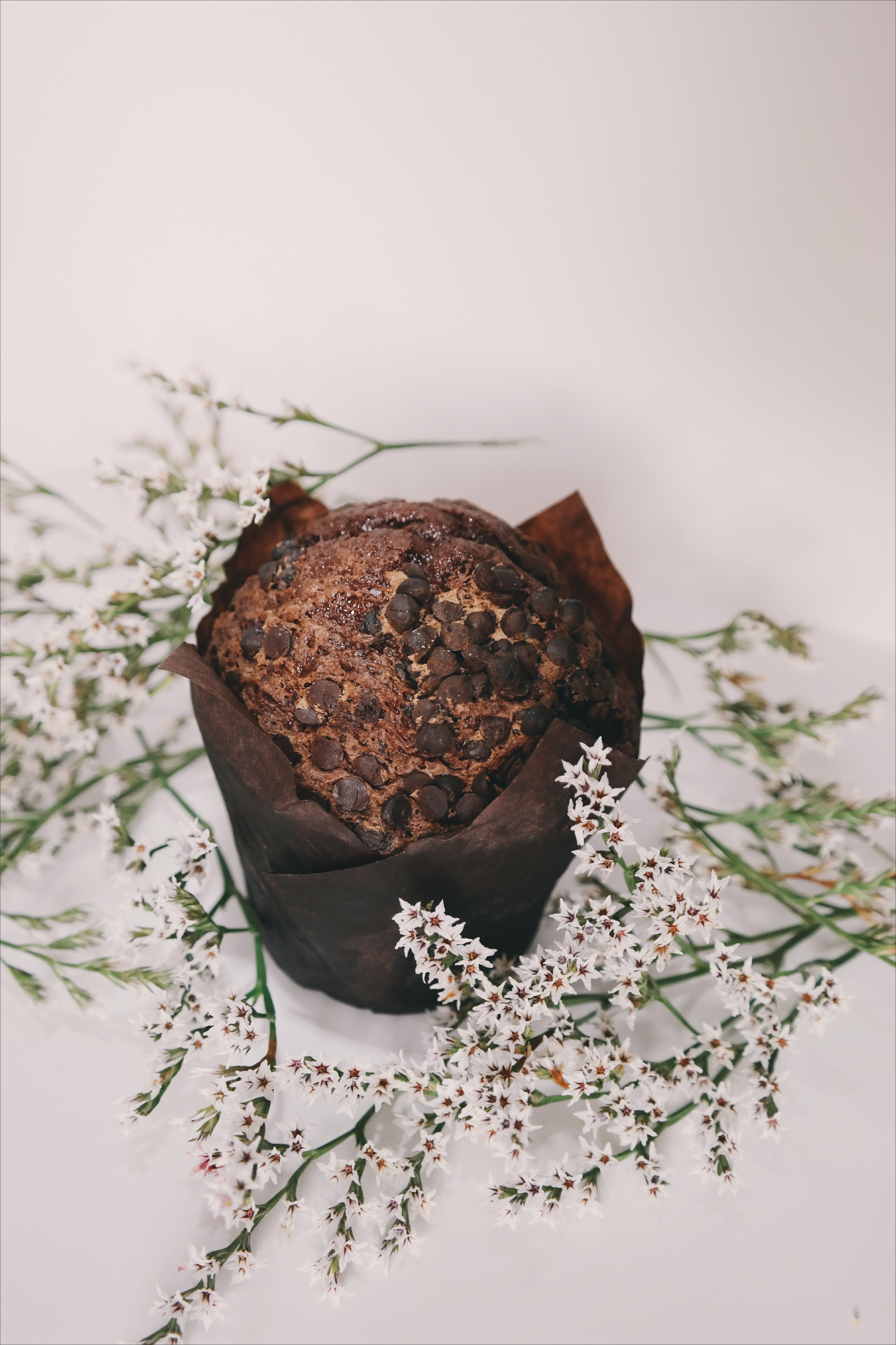 Chocolate muffin top with chocolate chips photo