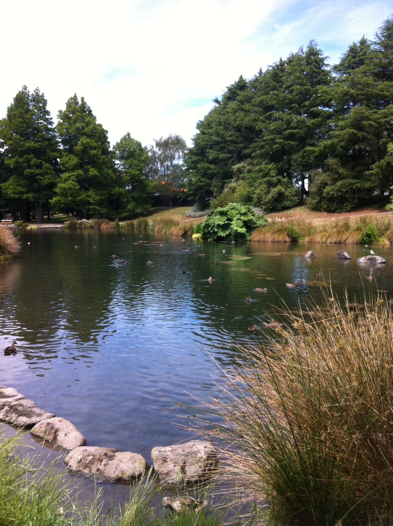 File:Artificial lake in the Jellie Park in Christchurch, New Zealand ...