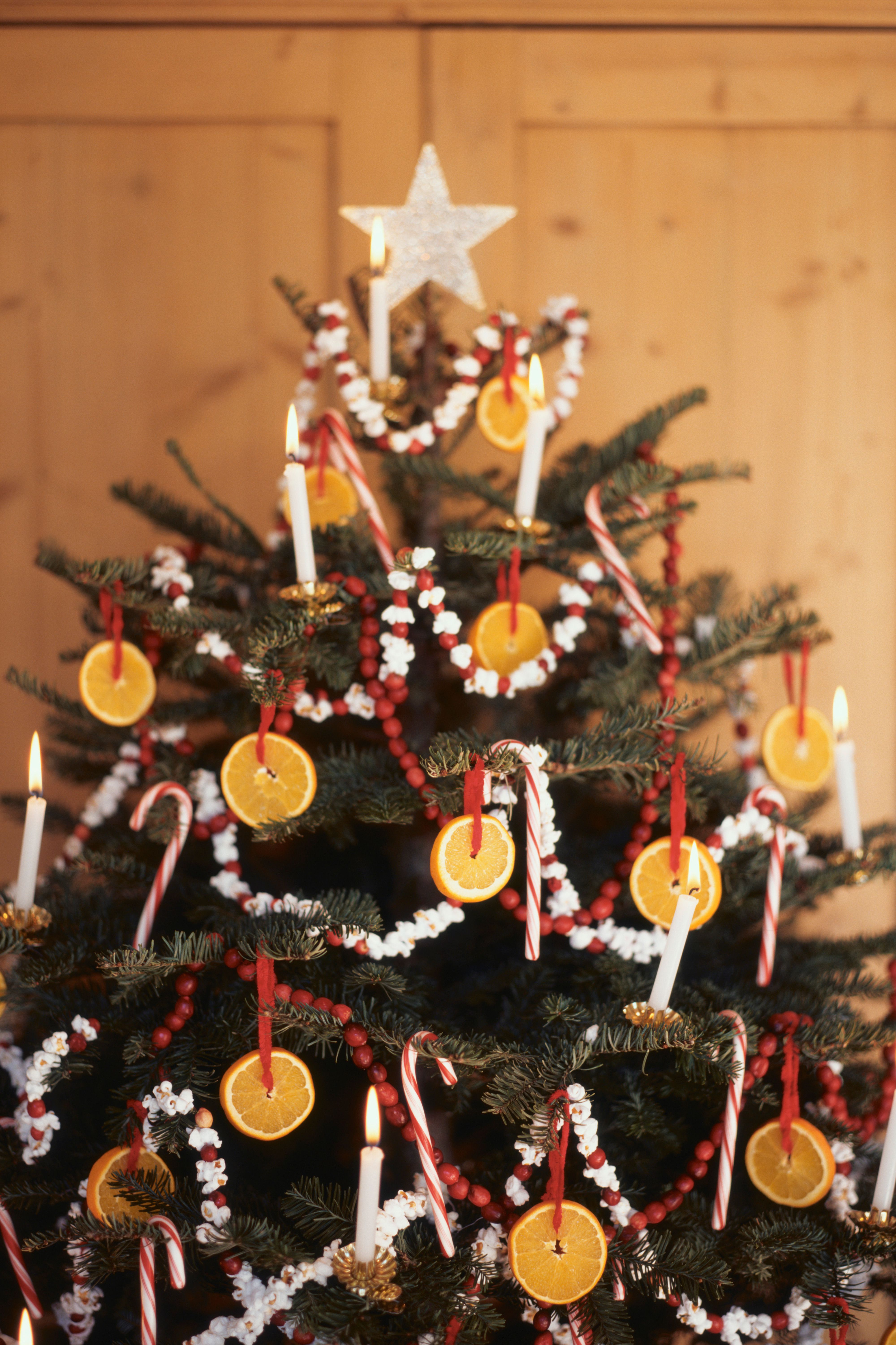 Christmas Tree Fails - Mistakes for Christmas Trees