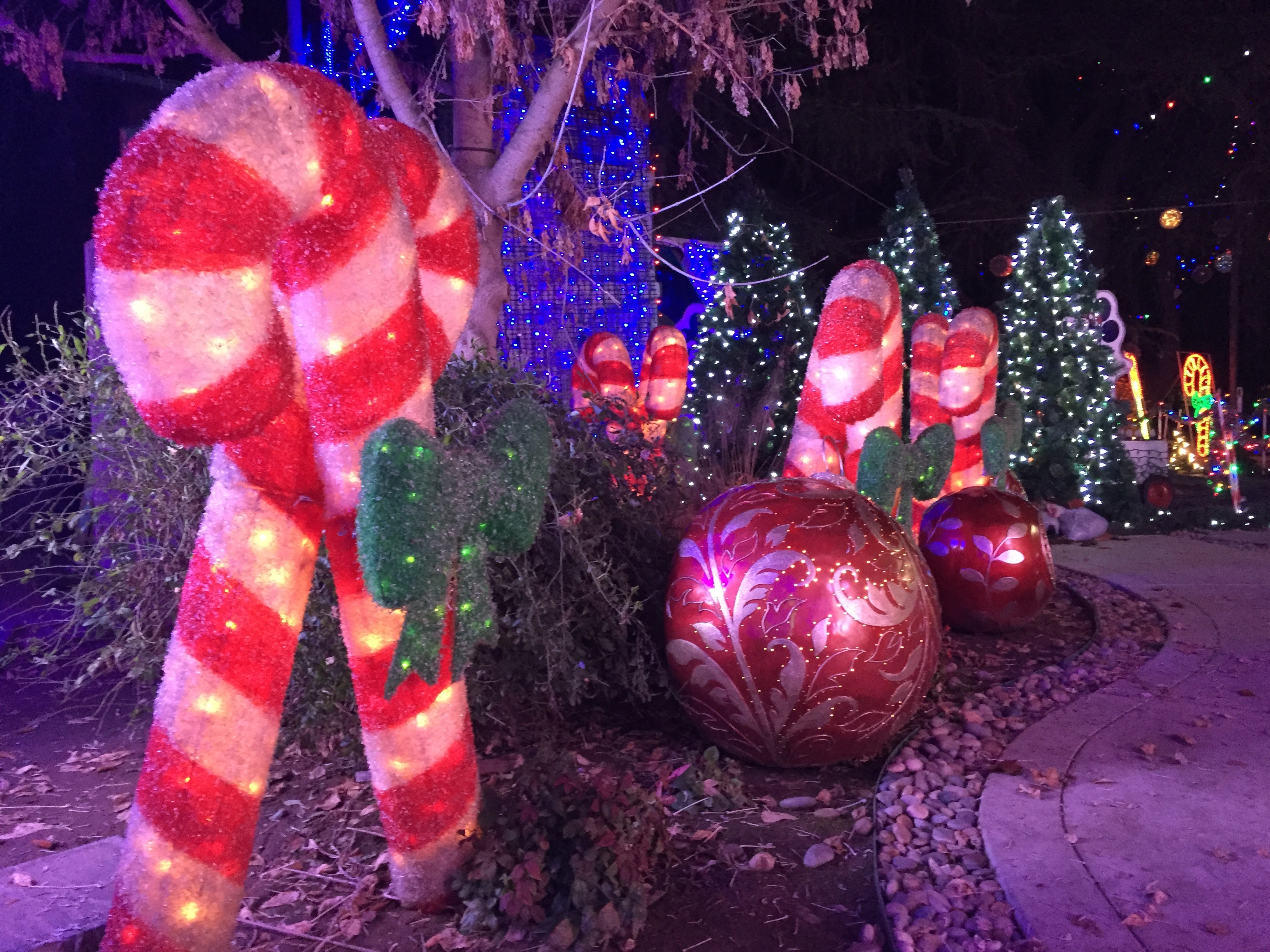 Christmas Tree Lane – A Fresno Tradition Since 1920