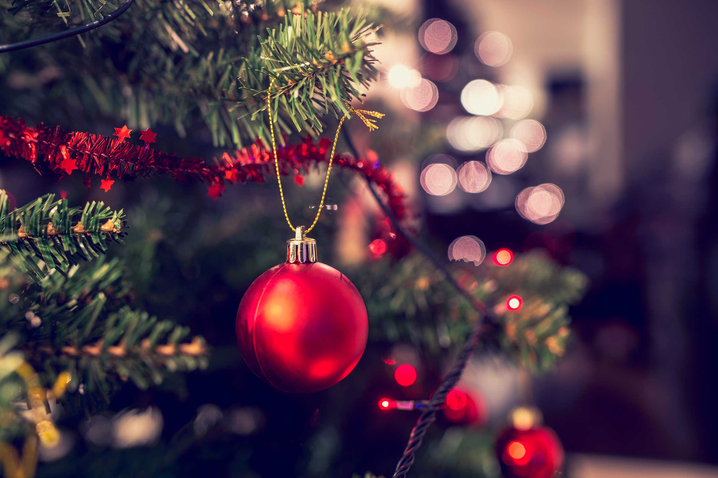 Christmas Tree Secrets: What Your Tree Wishes You Knew | Reader's Digest