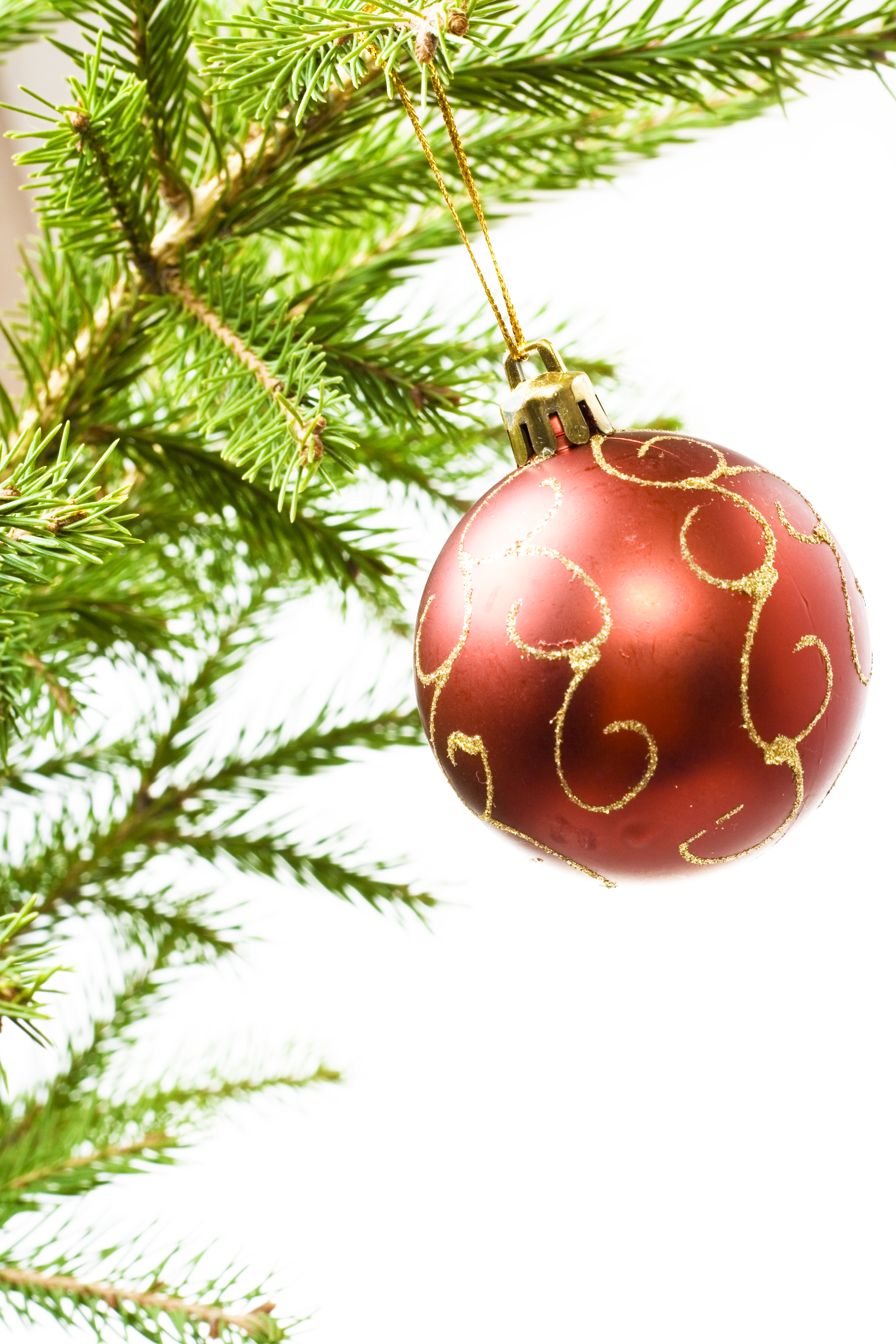 Christmas ball on branch photo