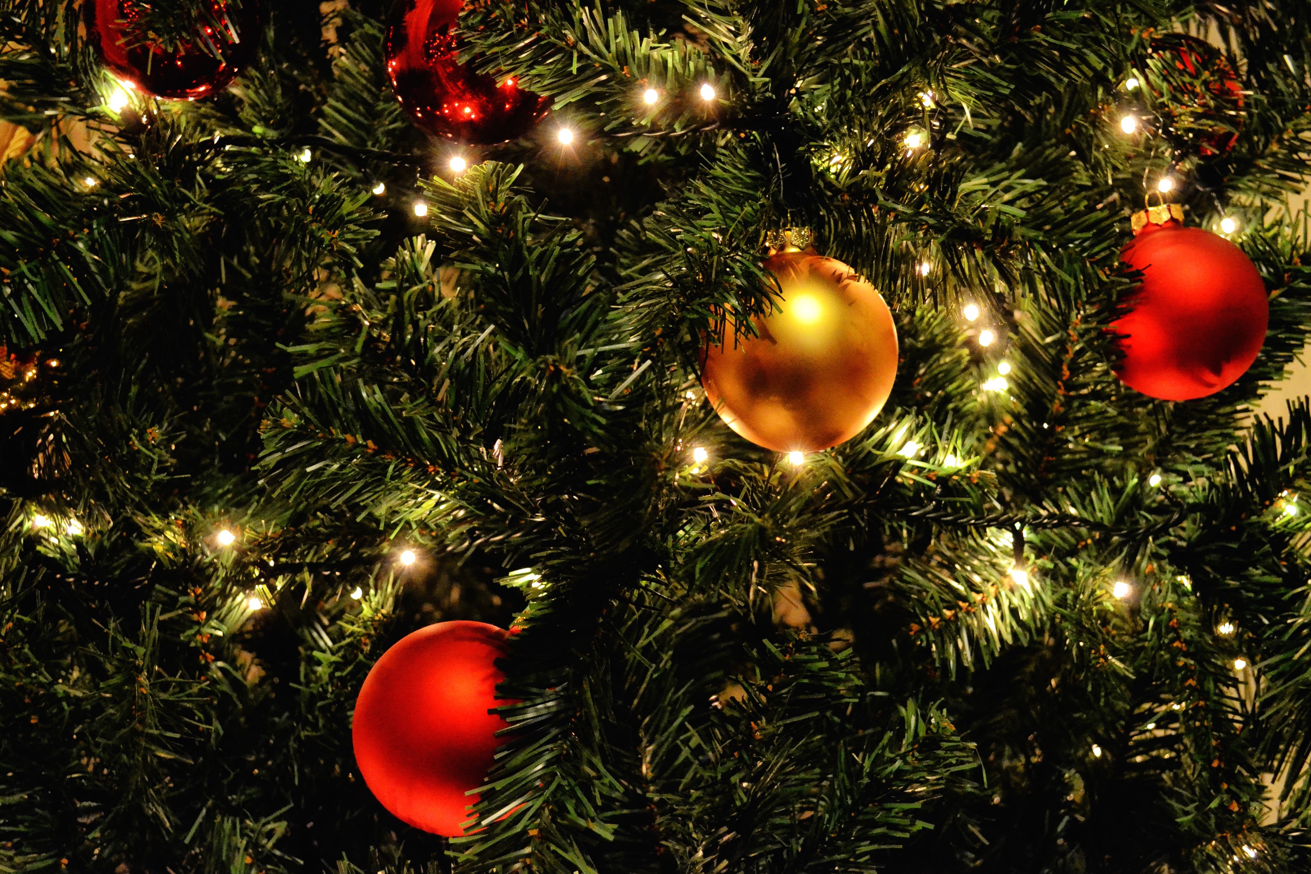 Free picture: decoration, sphere, spruce tree, Christmas, balls ...