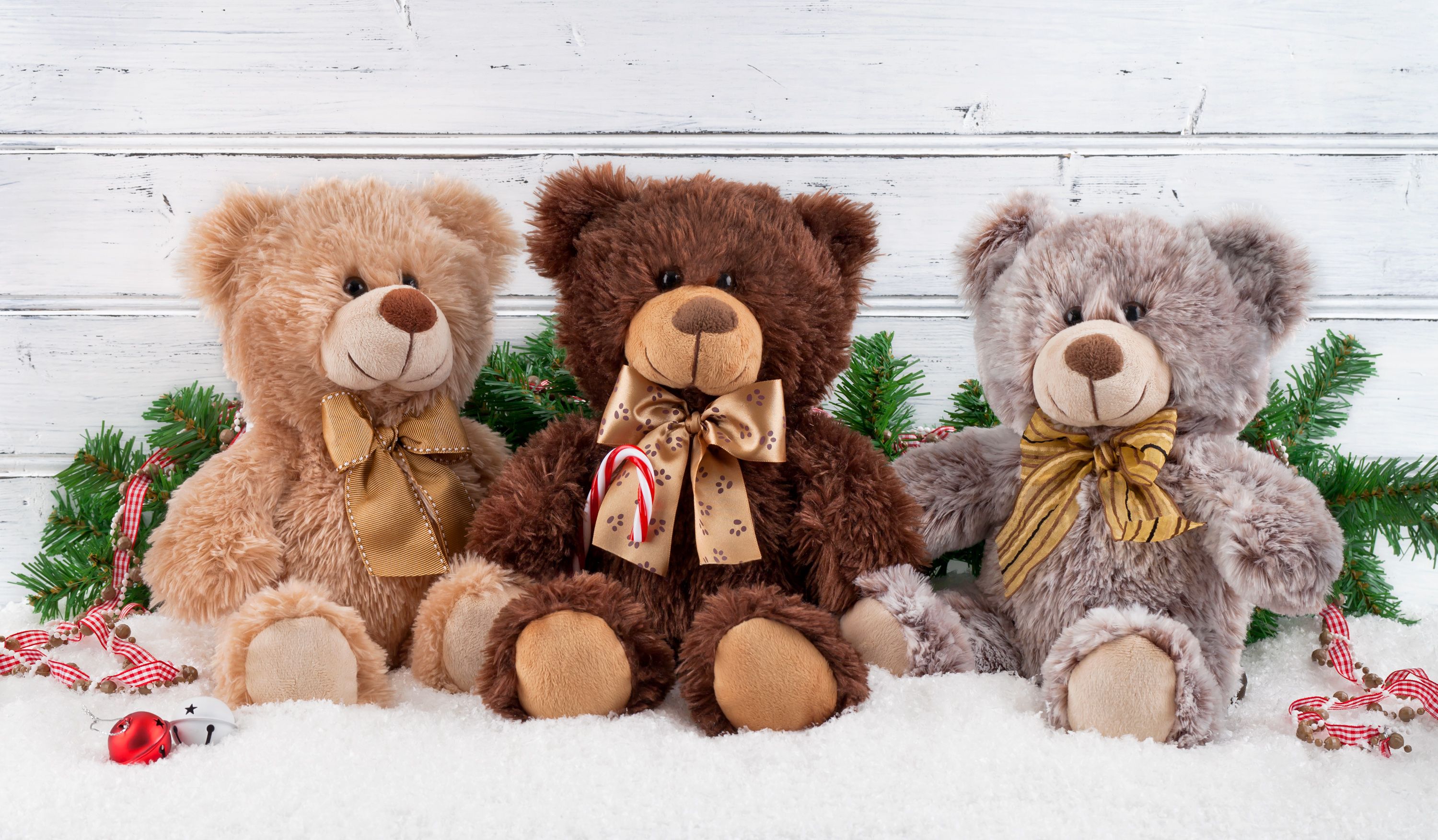Christmas bears photo