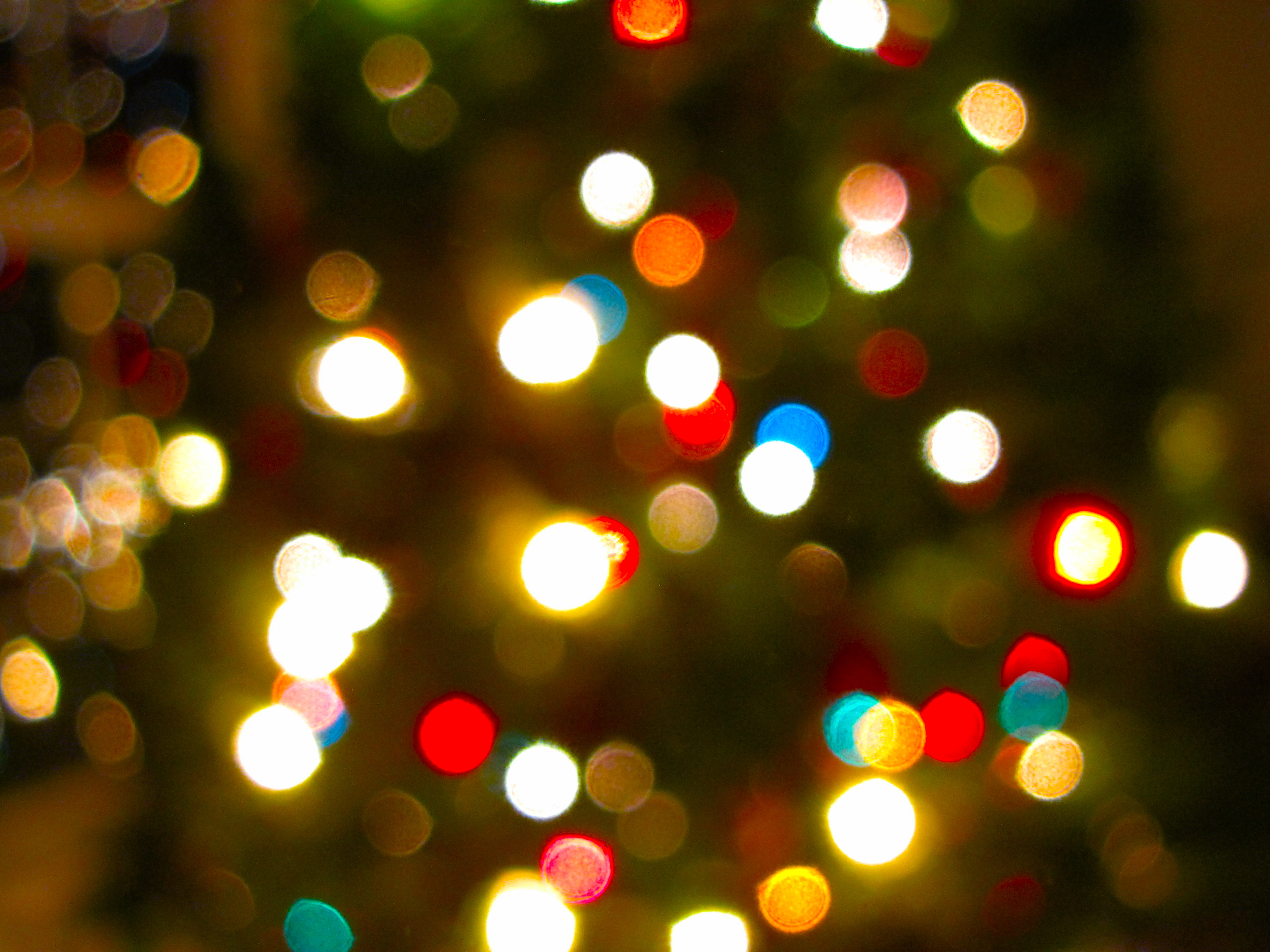 Our Christmas Tree: Bokeh Style - Gathered In The Kitchen