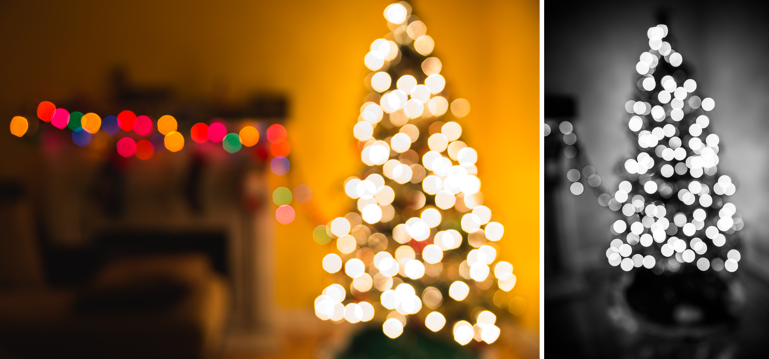 Take Better Christmas Tree Photos in 5 Easy Steps