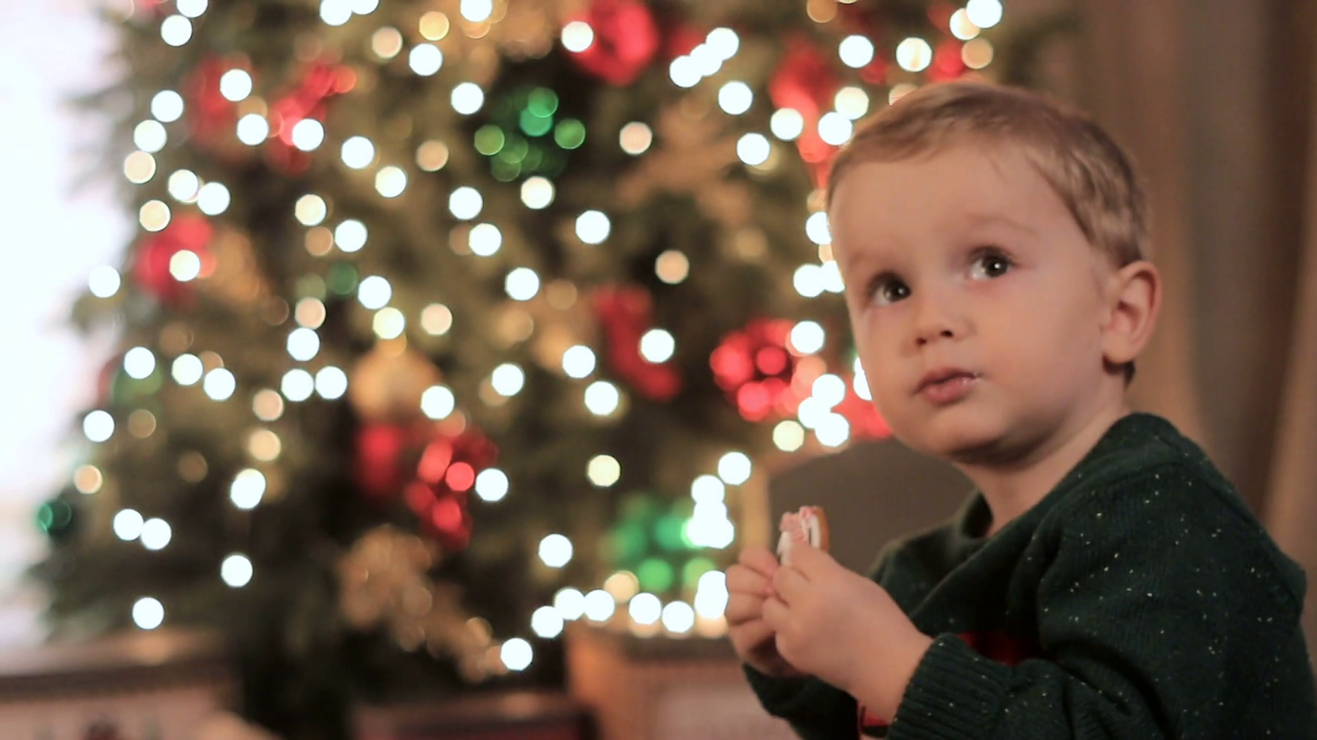 baby boy sitting near Christmas tree and eating cookies, gingerbread ...
