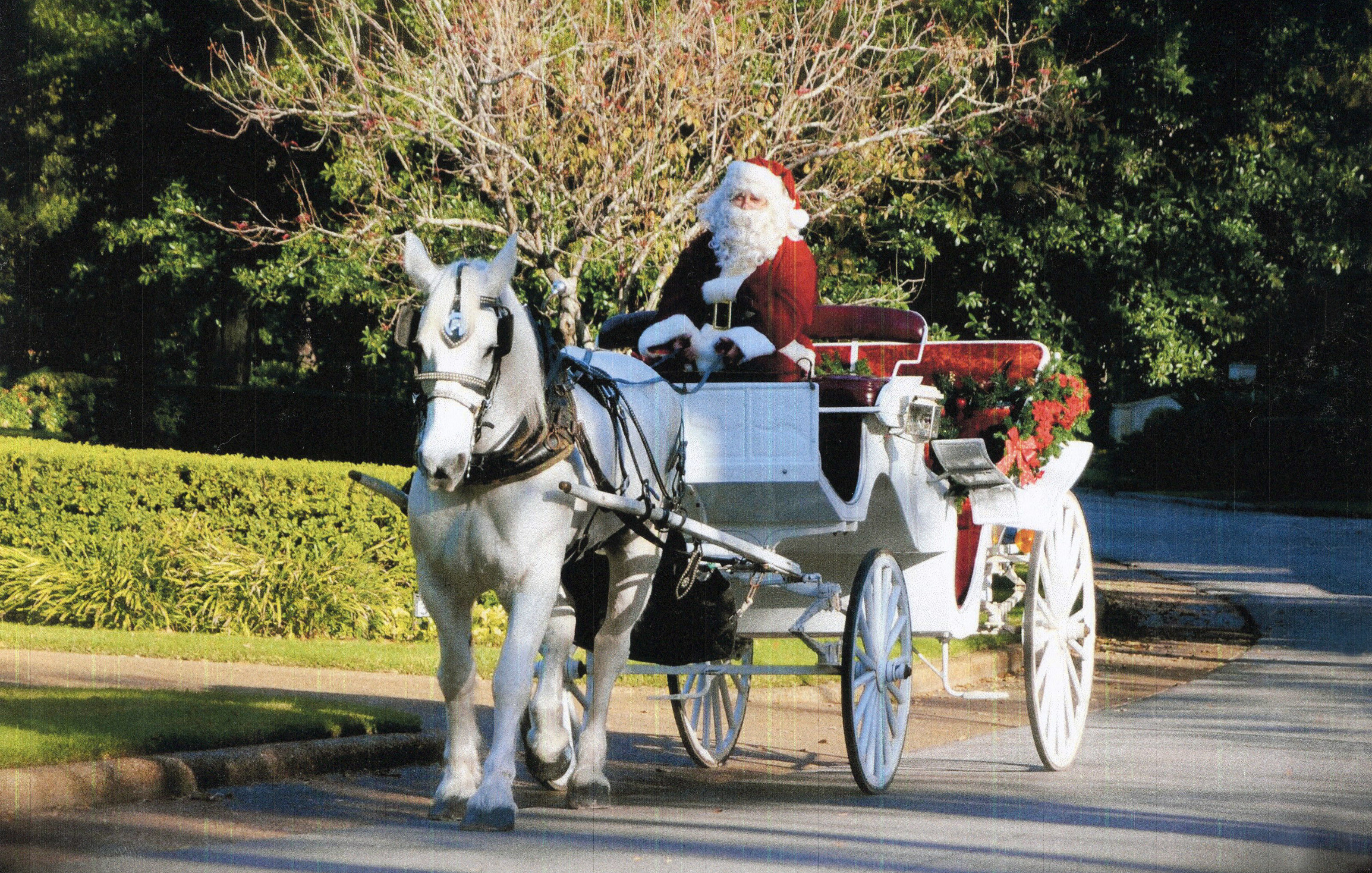 Rivers Oaks Butler | Christmas Lights, Carriage Rides, Home ...