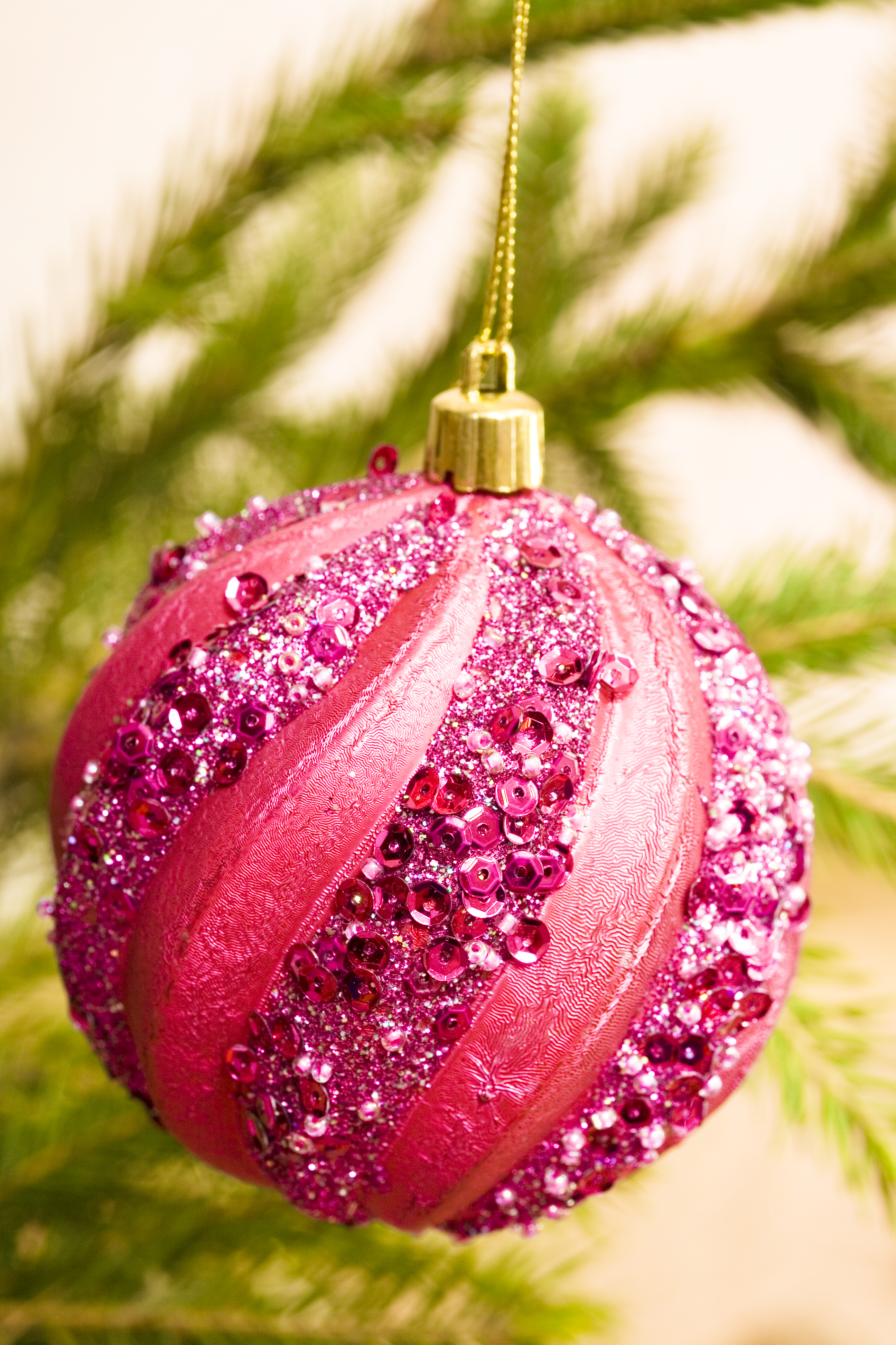 Free photo: Christmas decoration - Pine, Decor, Ornament - Free ...