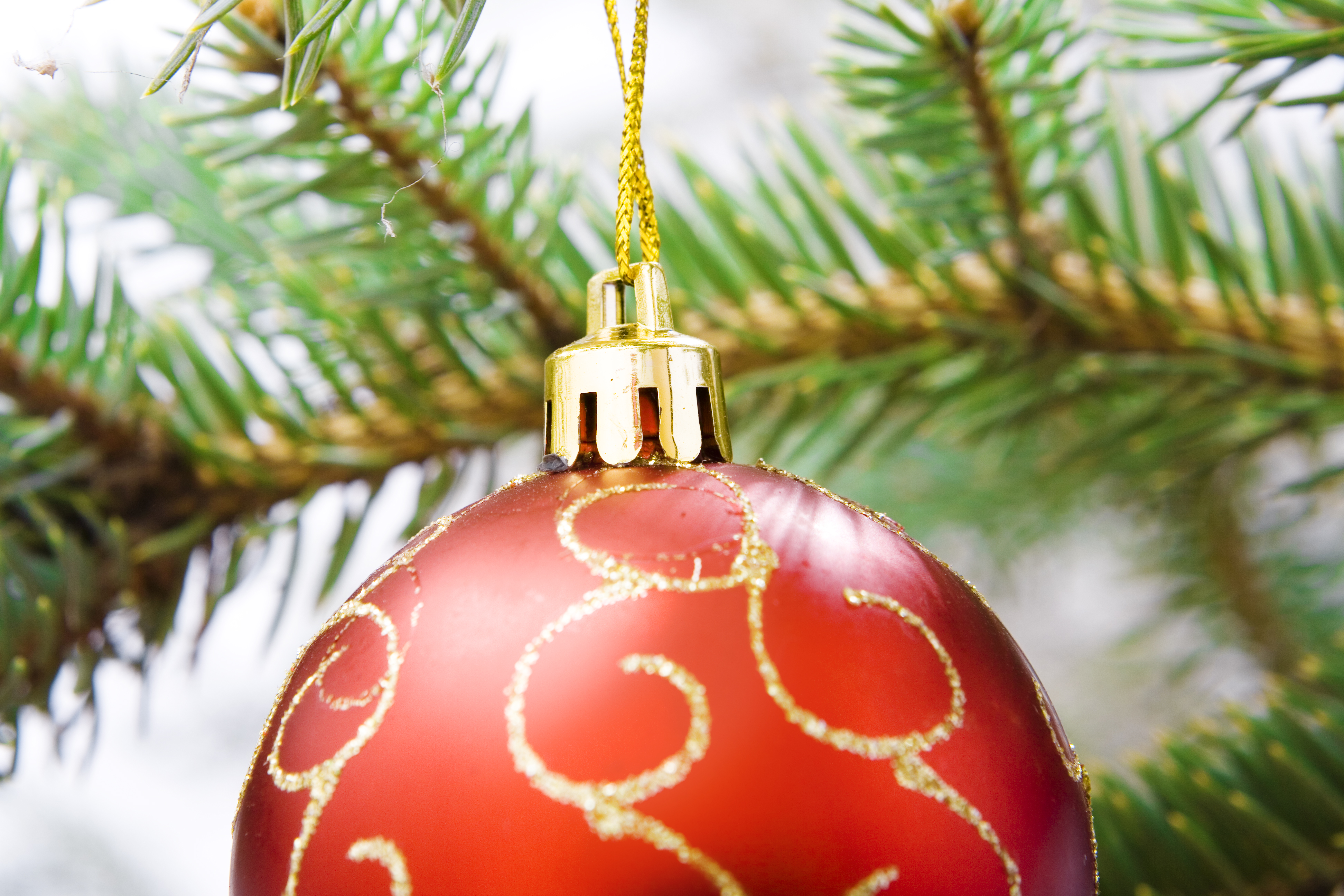 Christmas decoration, Pine, Decor, Ornament, Image, HQ Photo