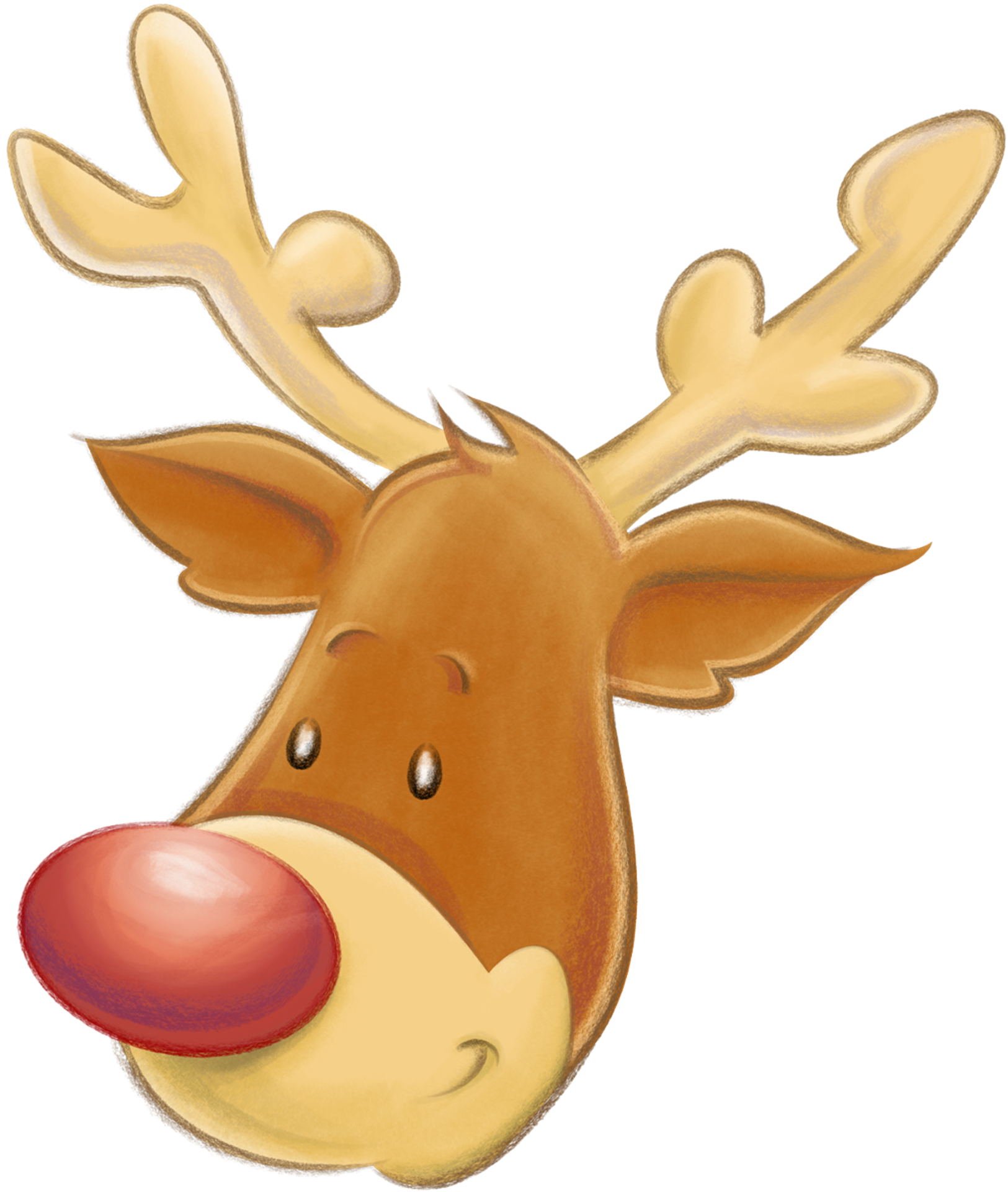 Christmas deer photo