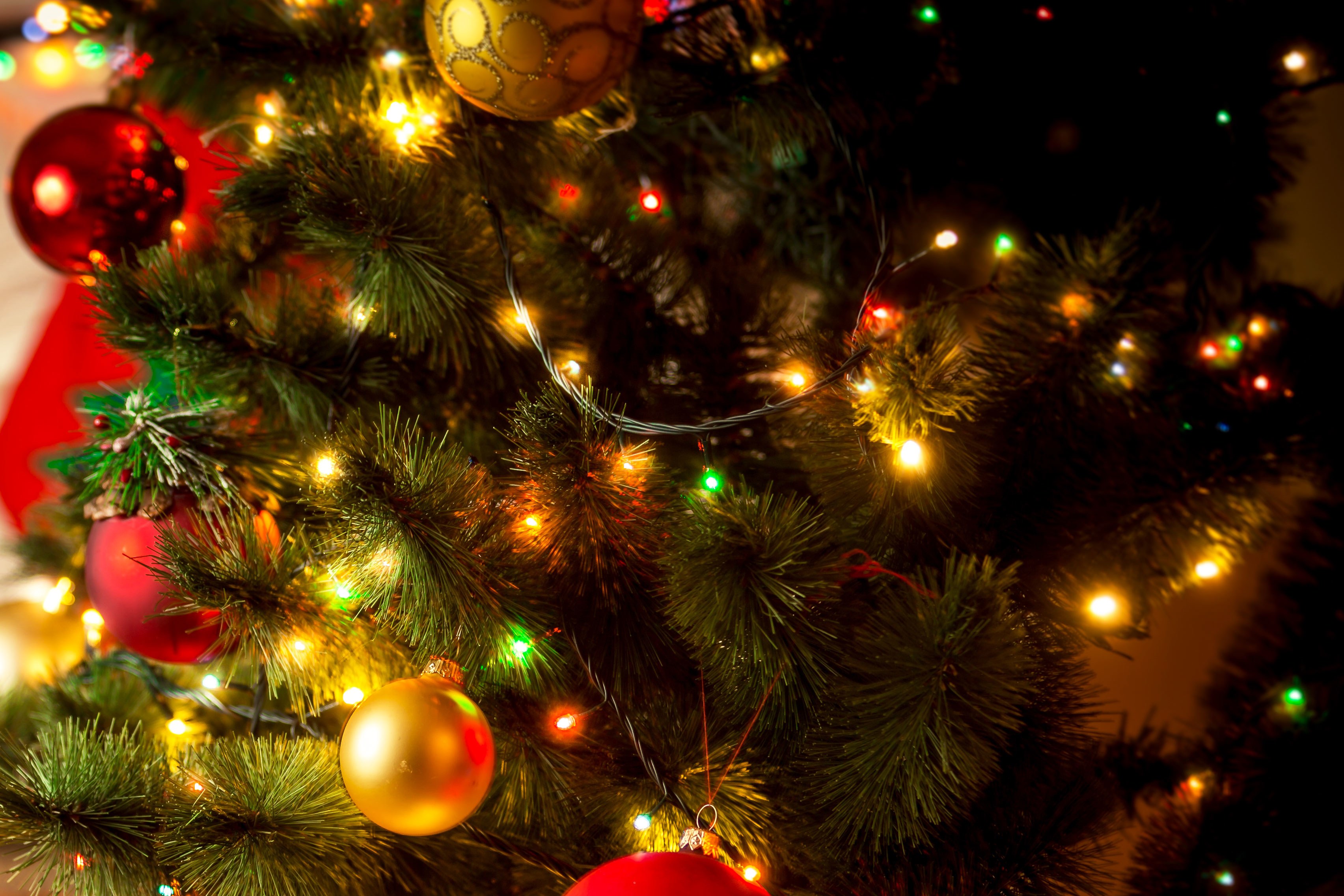 How Much Does It Cost to Power Your Christmas Lights? | WIRED