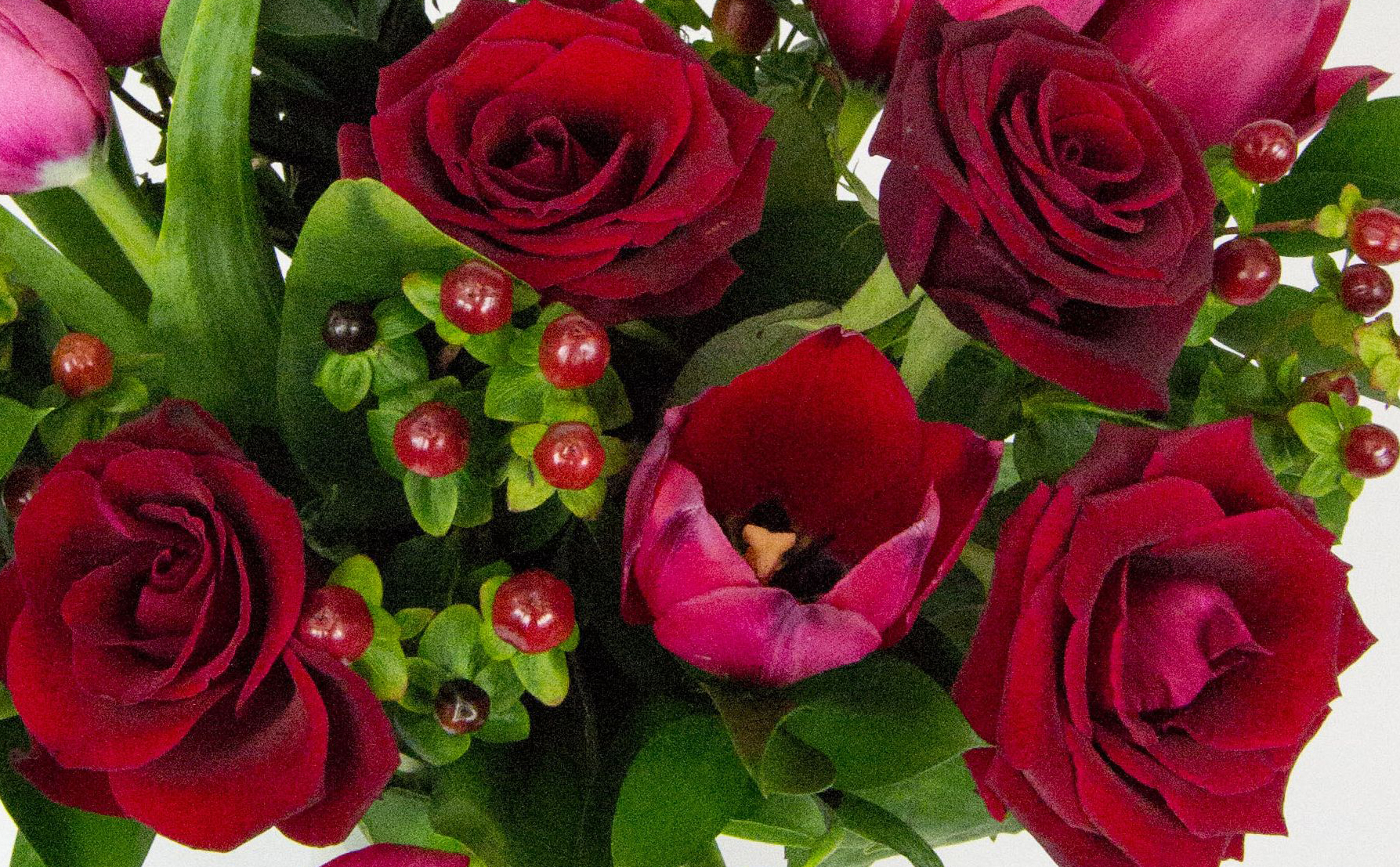 Send Flowers Abroad For Christmas | Prestige Flower PressFlower Press