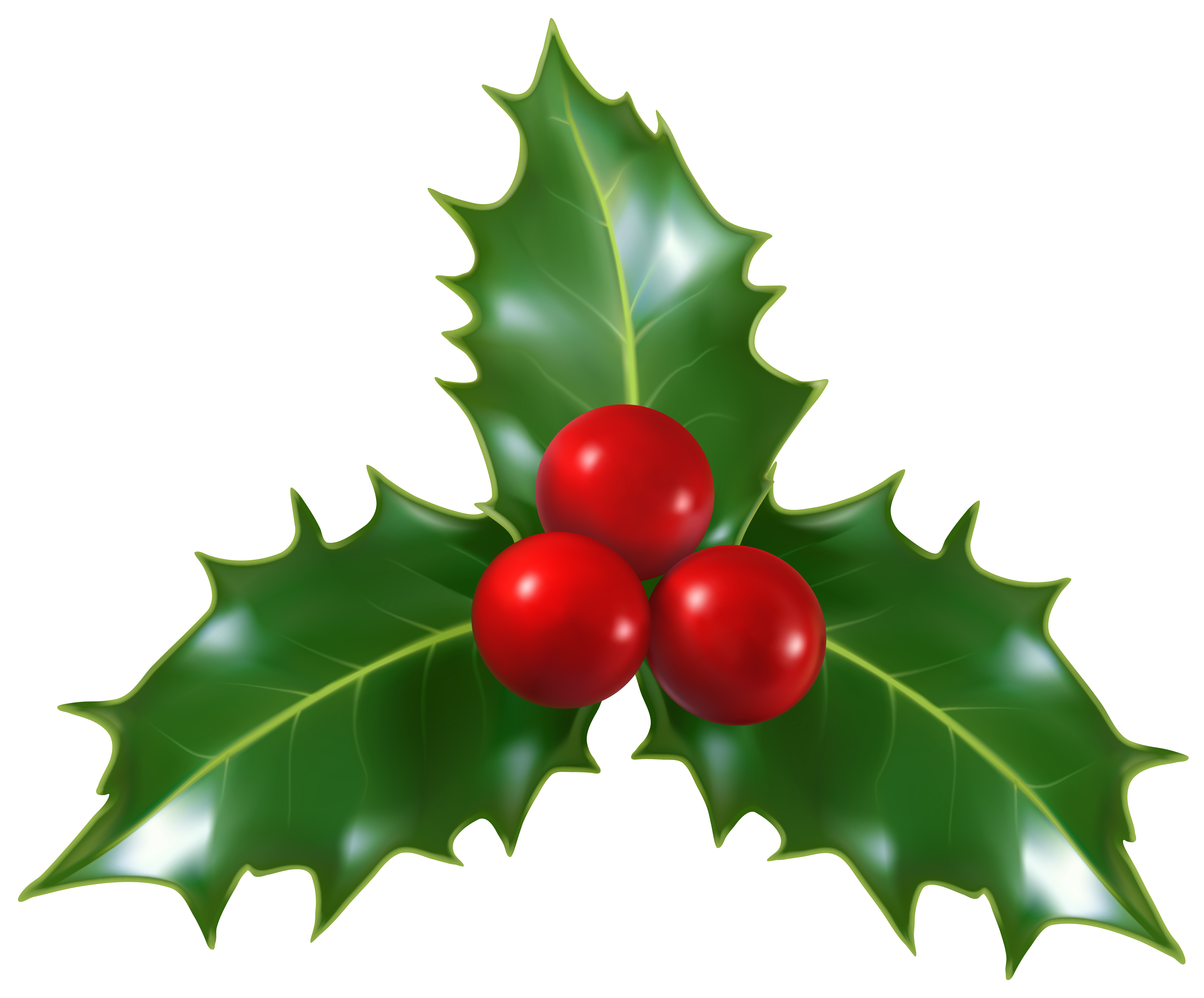 Christmas Holly Mistletoe PNG Clip-Art Image | Gallery Yopriceville ...