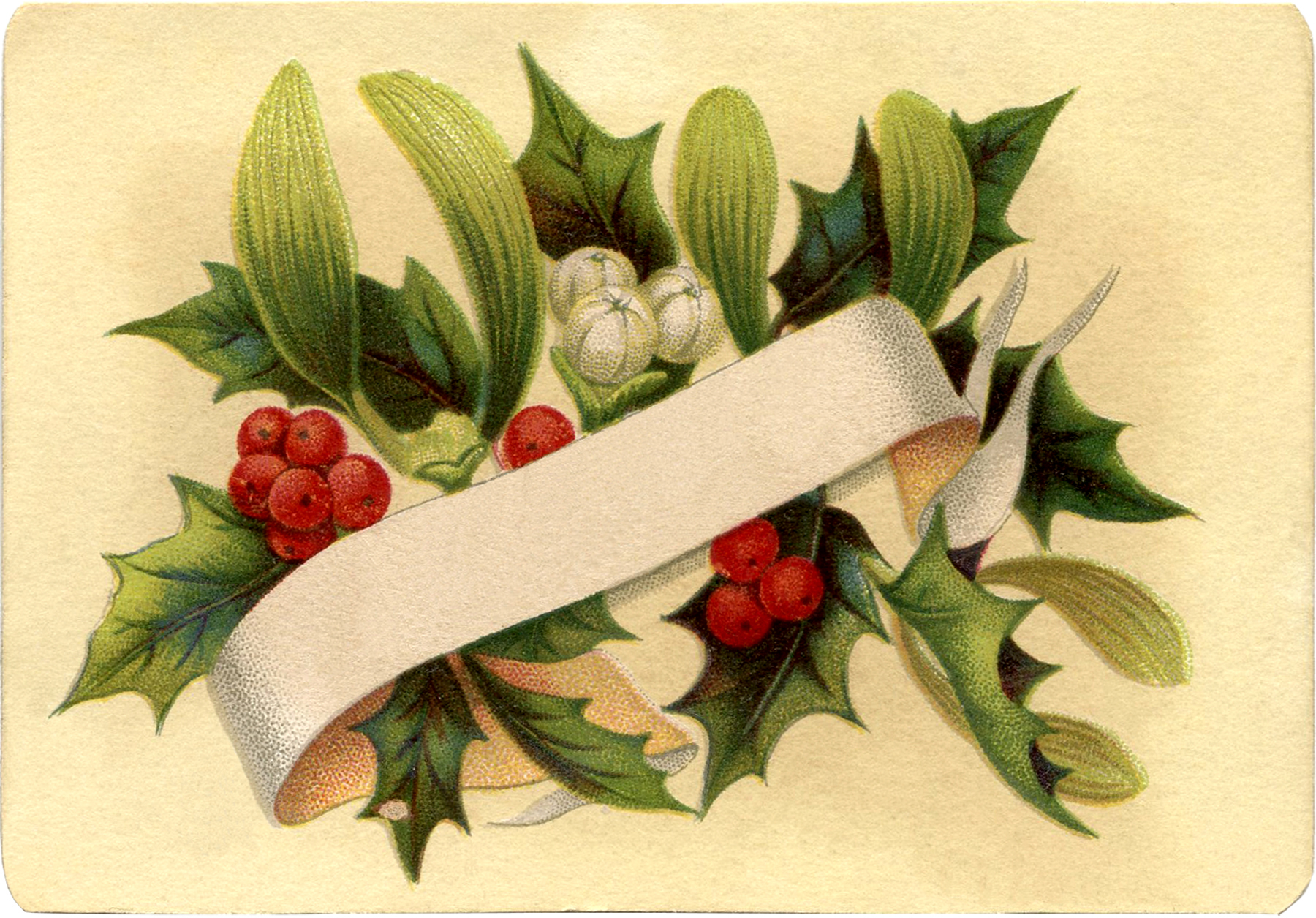 Gorgeous Christmas Holly Label! - The Graphics Fairy