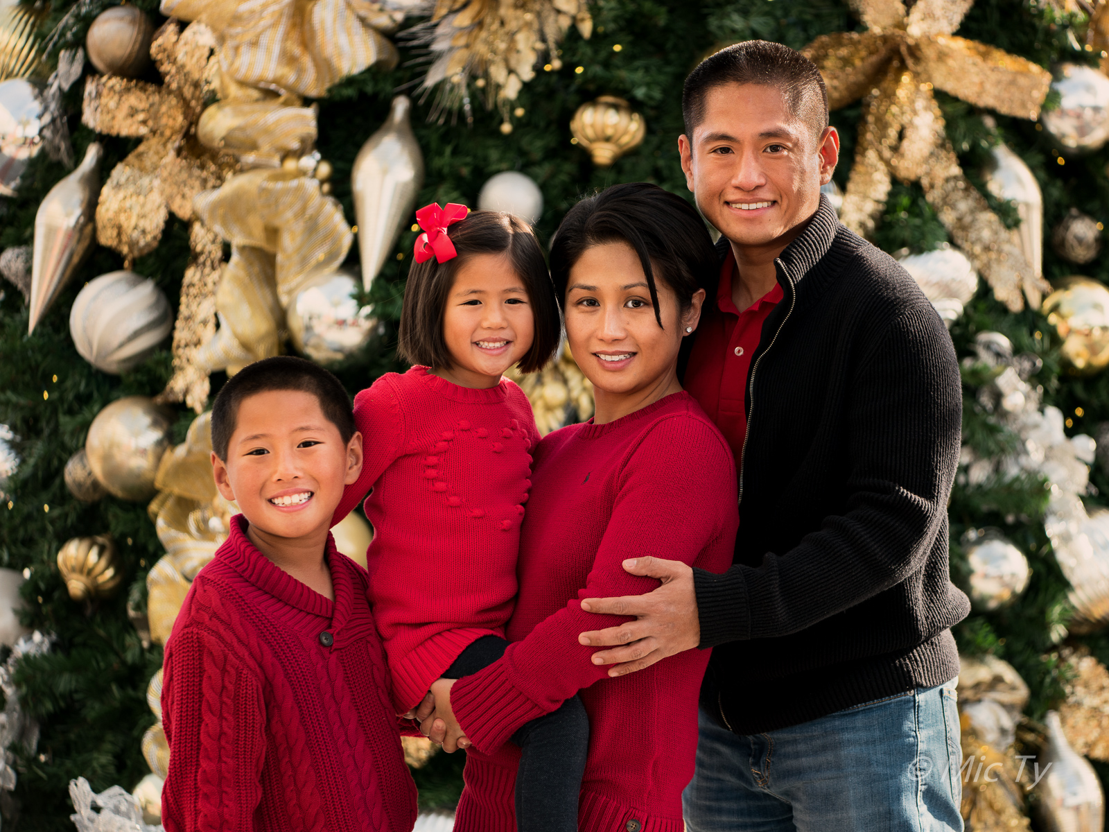 Better Family Photos: Traditional Christmas Family Portrait with ...
