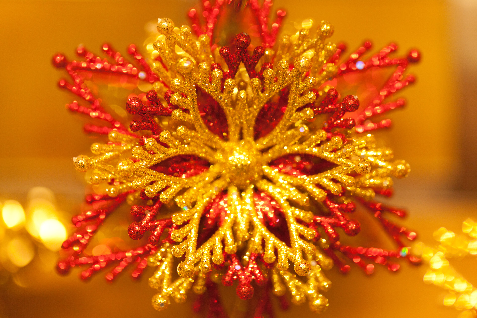 Christmas Star Decoration Free Stock Photo - Public Domain Pictures