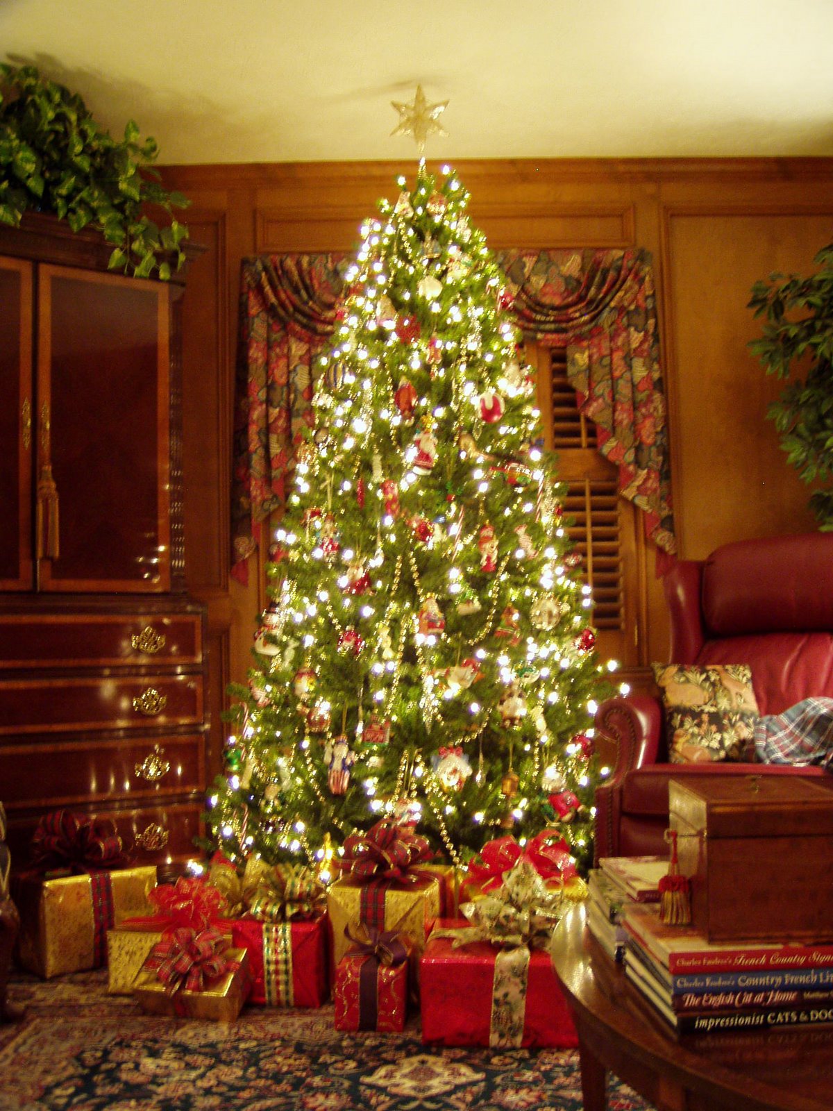 Christmas Tree, O Christmas Tree…