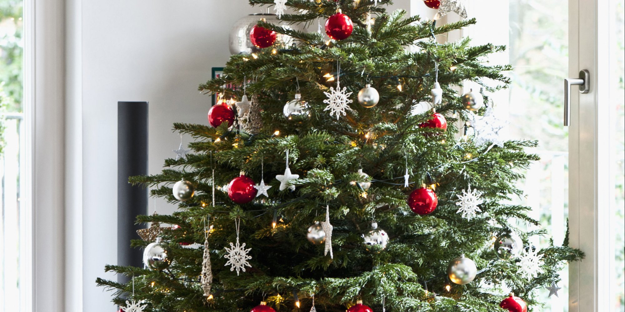 7 Things That Could Help Your Christmas Tree Live Longer | 105.5 The ...