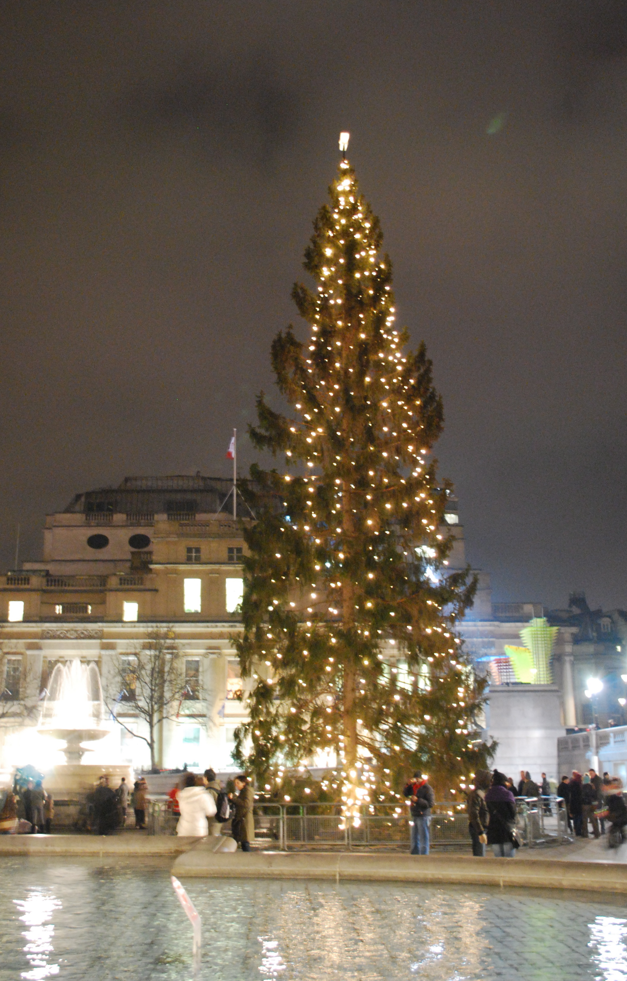 Trafalgar Square Christmas tree - Wikipedia