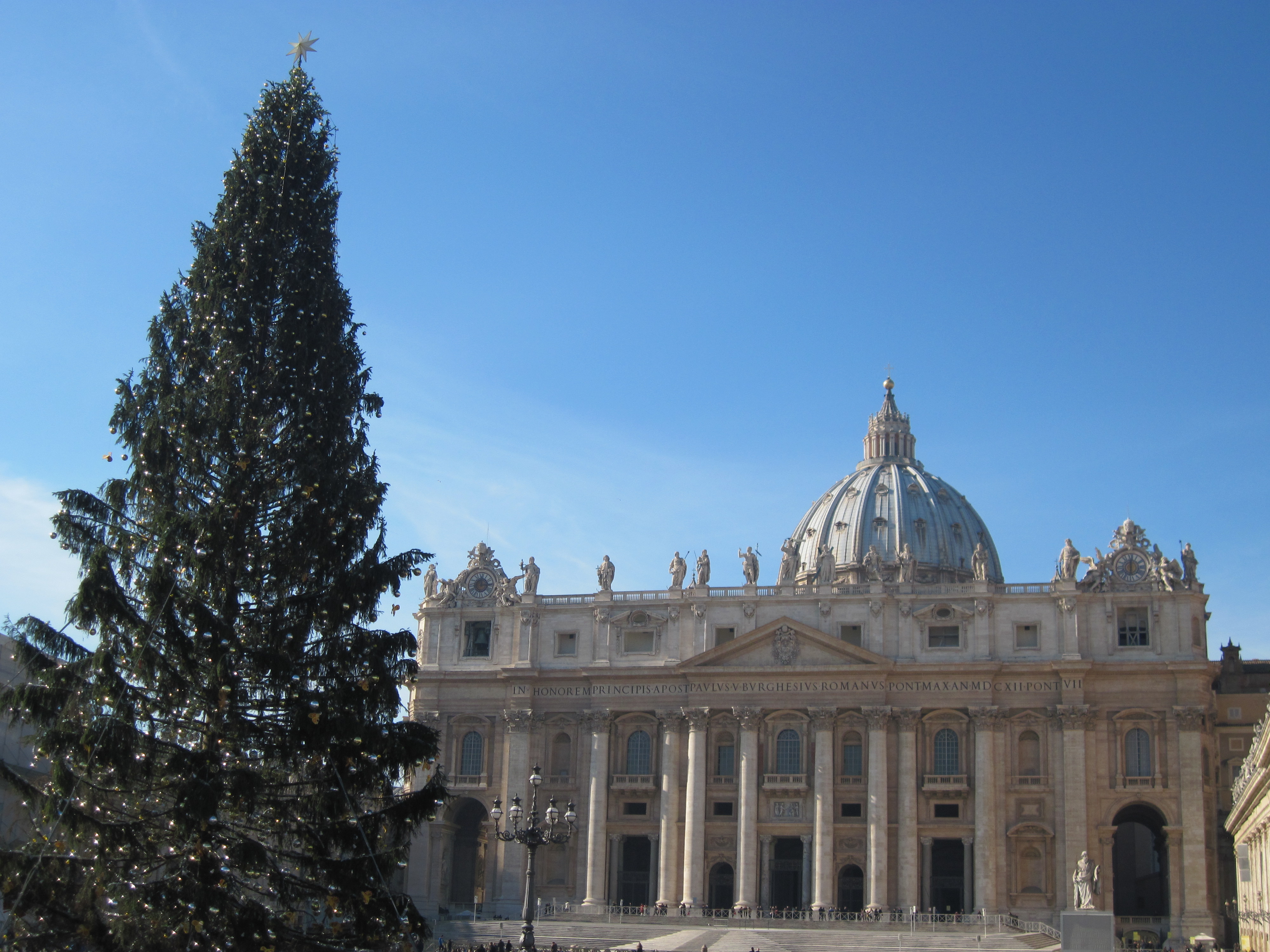 Christmas tree at the st. peter's s photo
