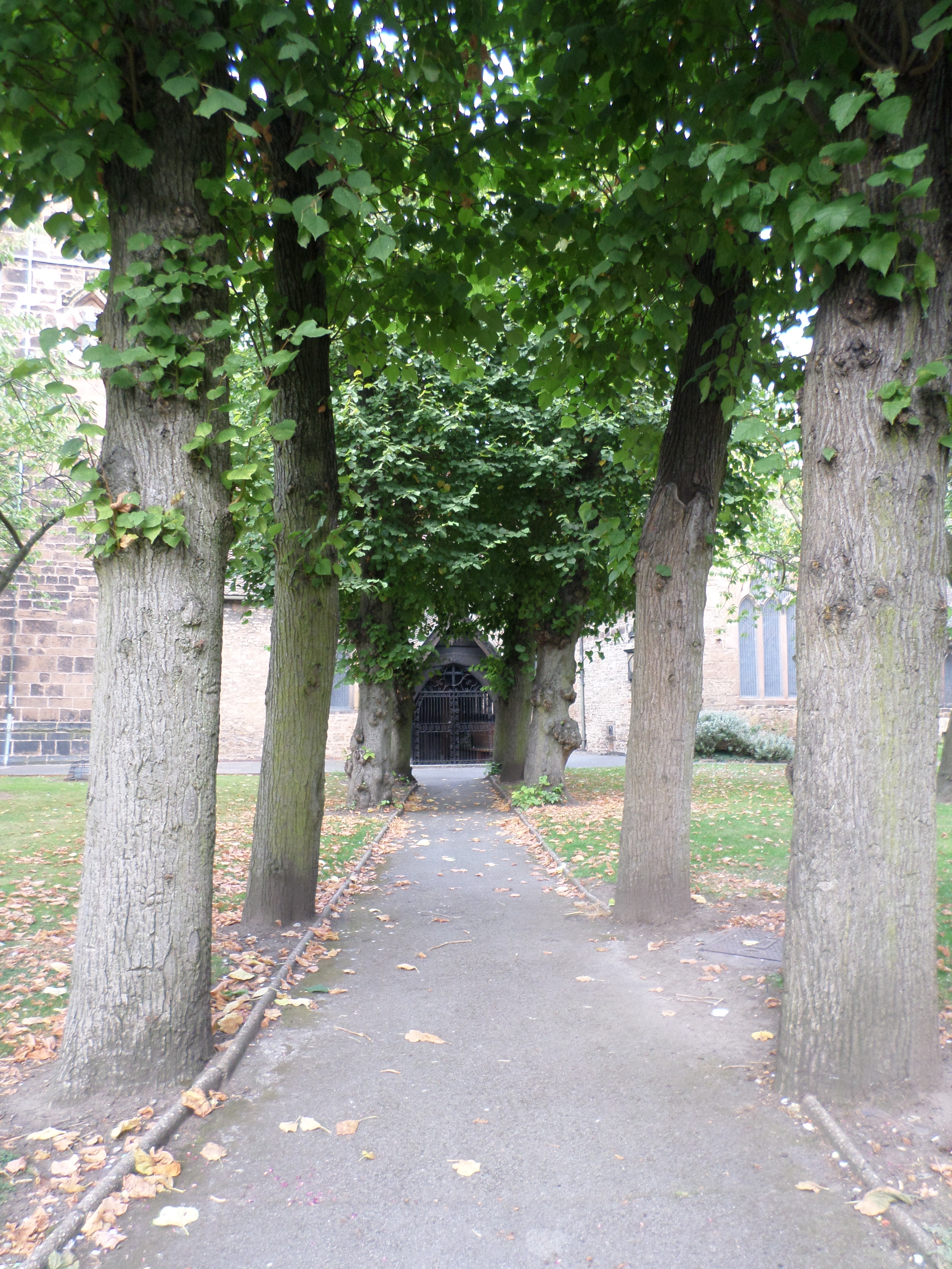 Churchyard, Church, Leaves, Path, Trees, HQ Photo