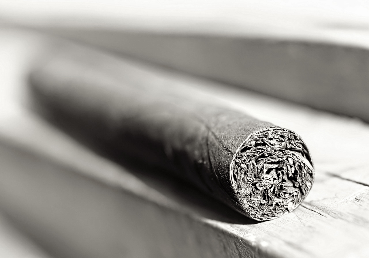 Cigar photo