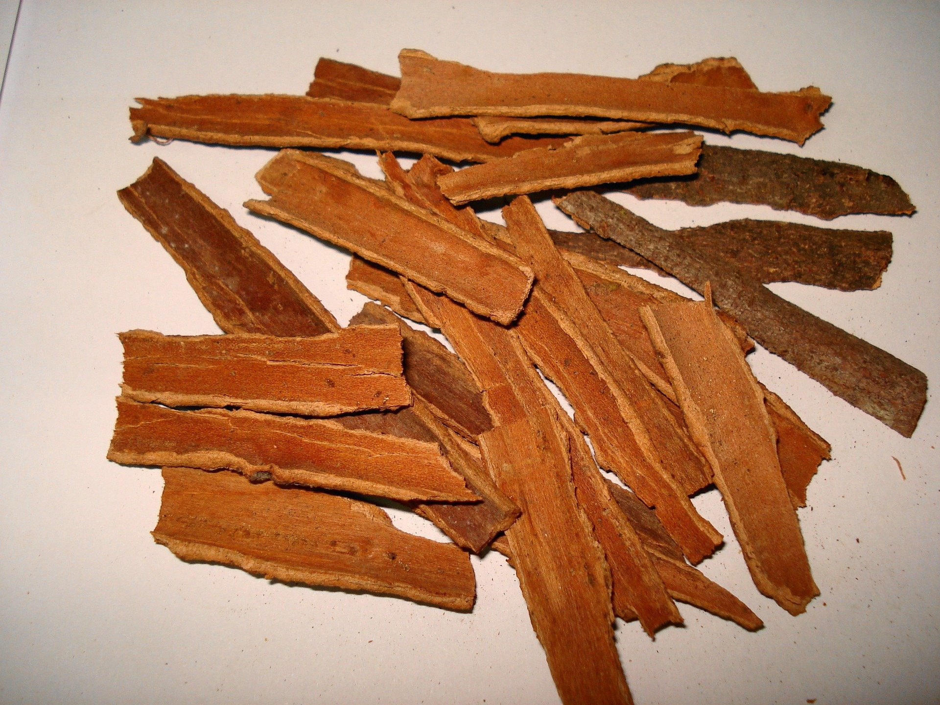 Cinnamon Bark Oil  dōTERRA Essential Oils