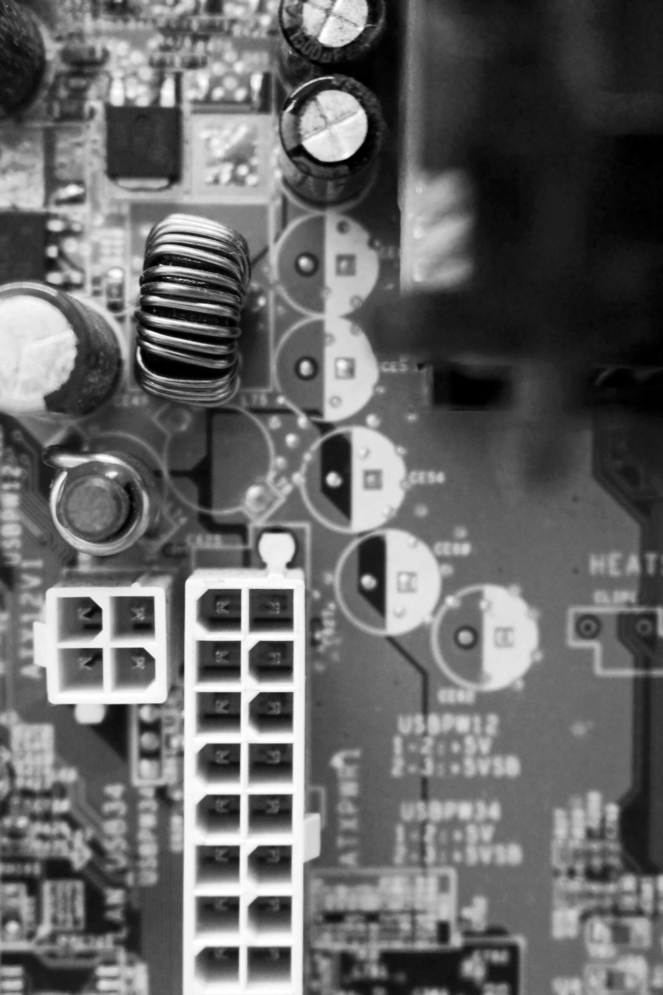 Circuit board in black and white photo