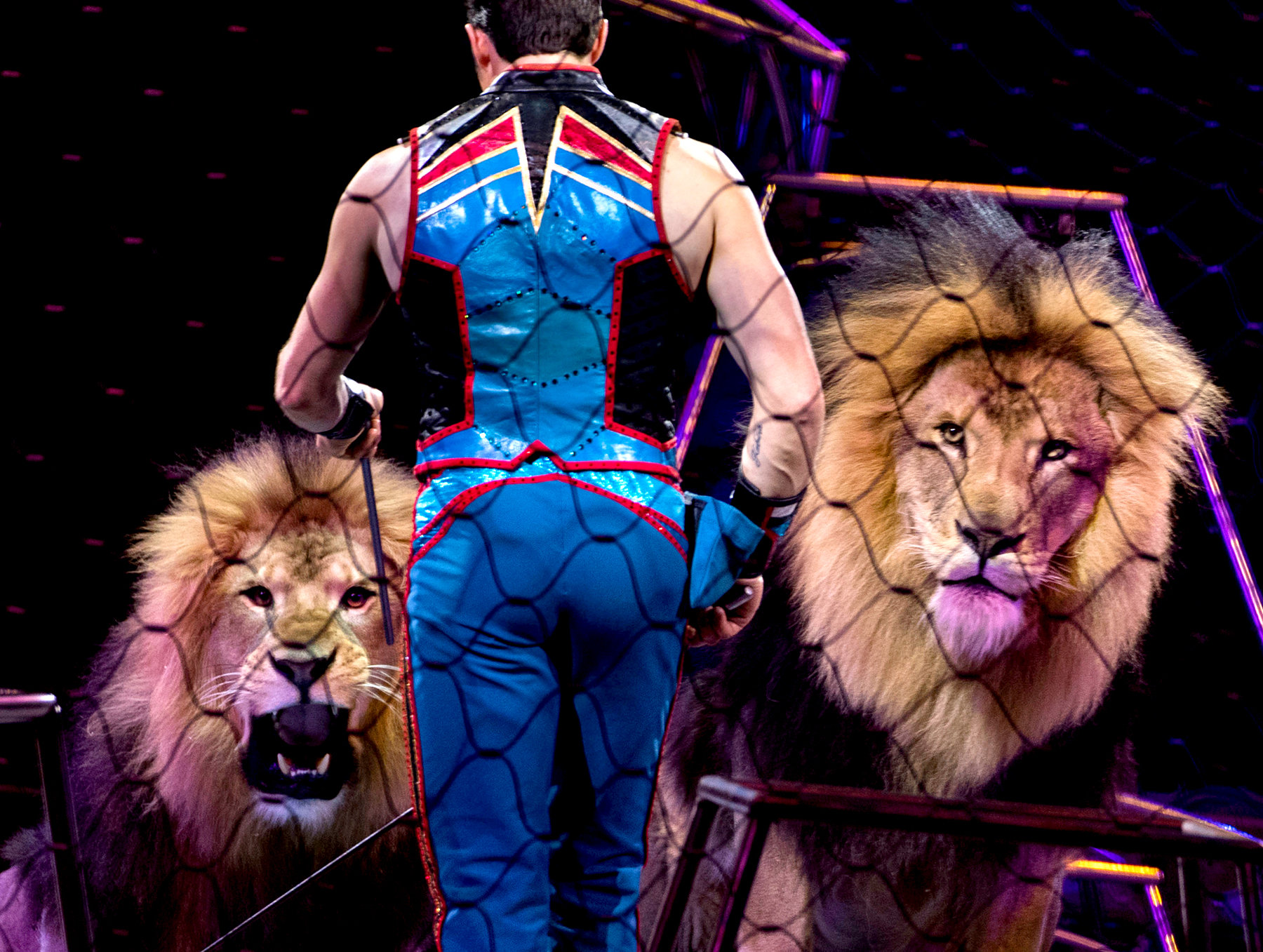 A Classic Circus Folds Its Tent - Video - NYTimes.com