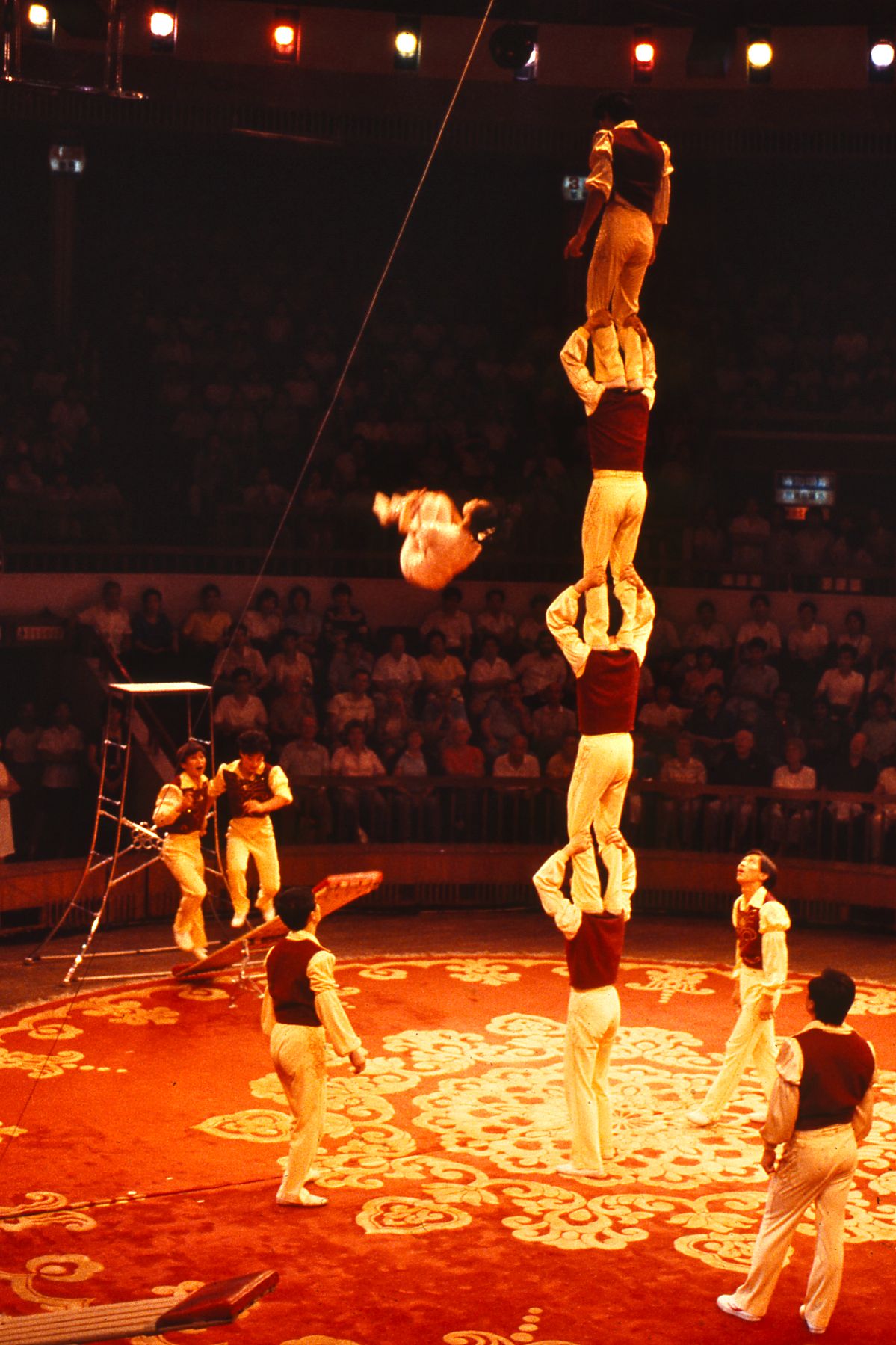 Acrobatics - Wikipedia