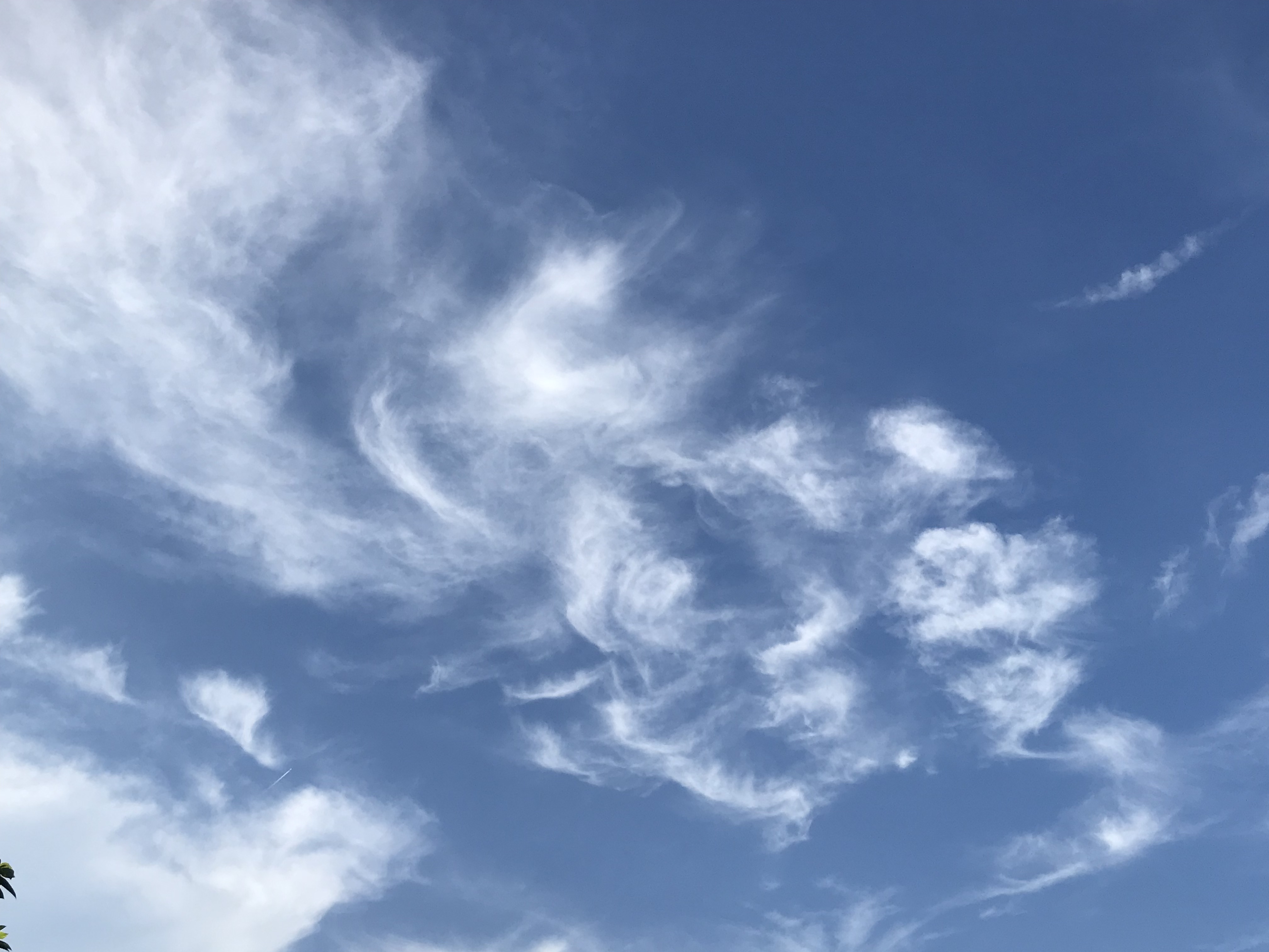 File:Cirrus Clouds 01.jpg - Wikimedia Commons