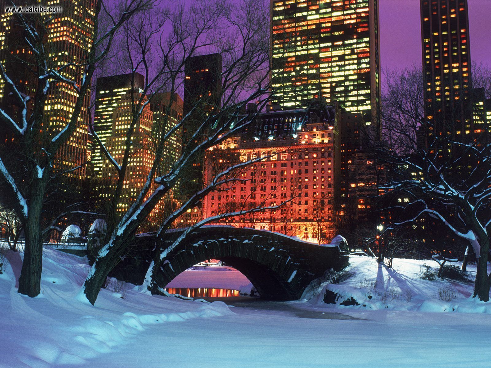 Buildings & City: Central Park in Winter, New York City, desktop ...