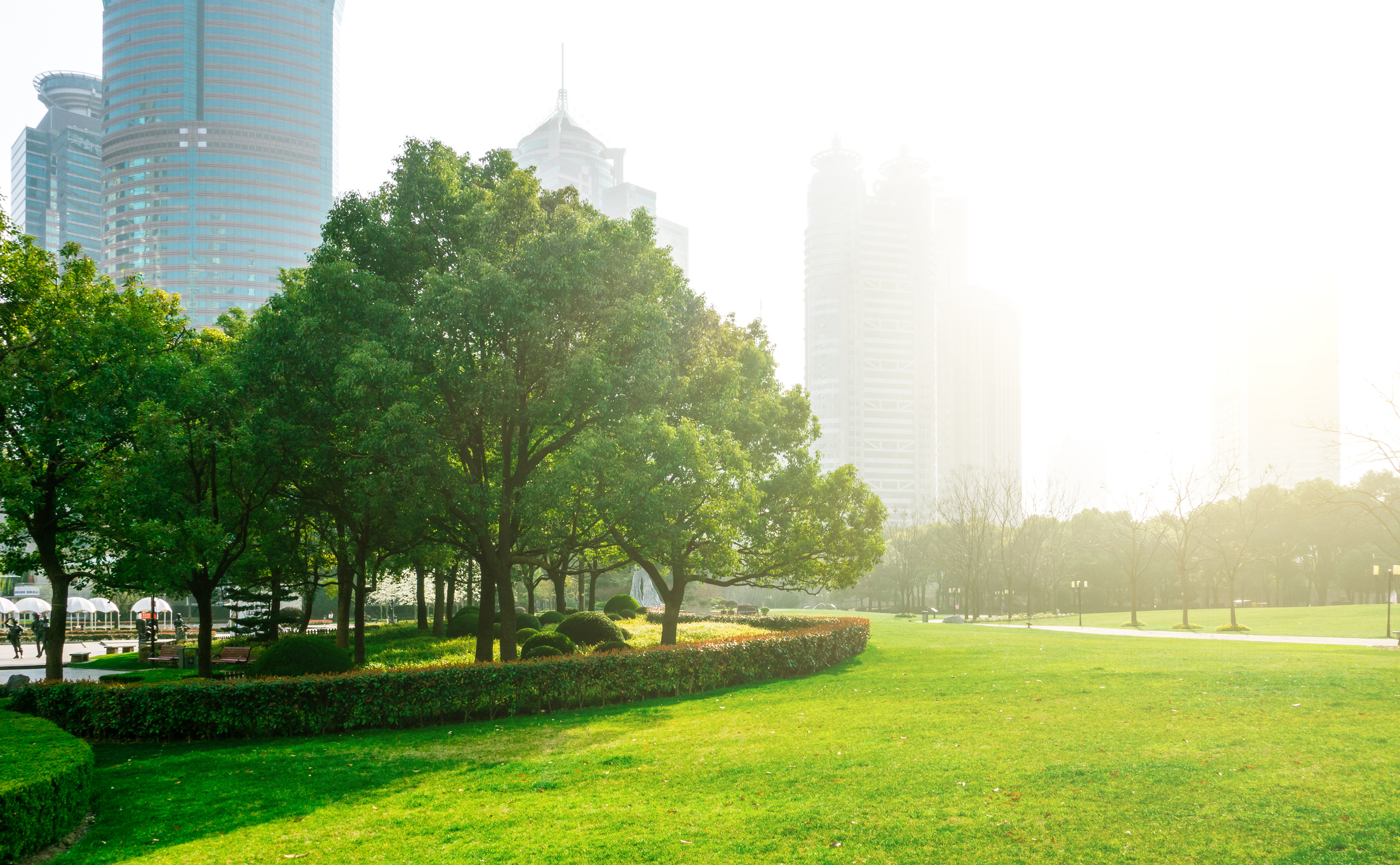 5 Ways Parks Provide a Return on Investment – CitiesSpeak