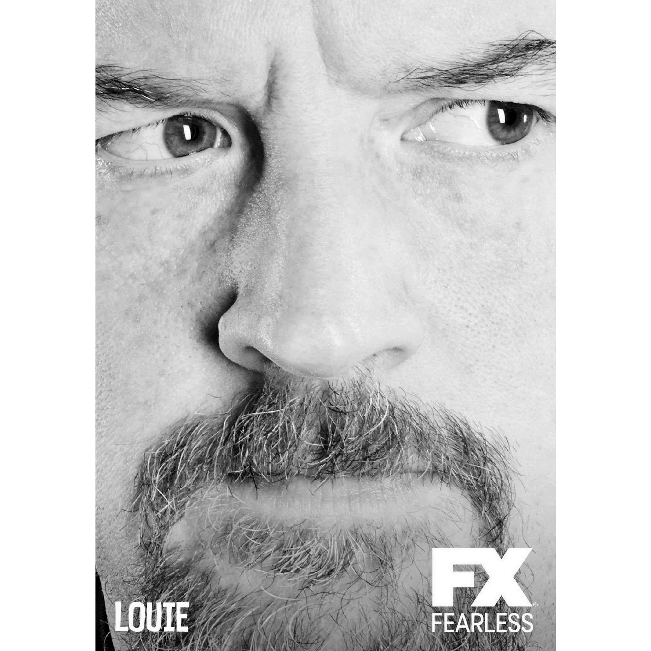 Louie Tv Show Louis Ck Seinfeld Snl2 Poster