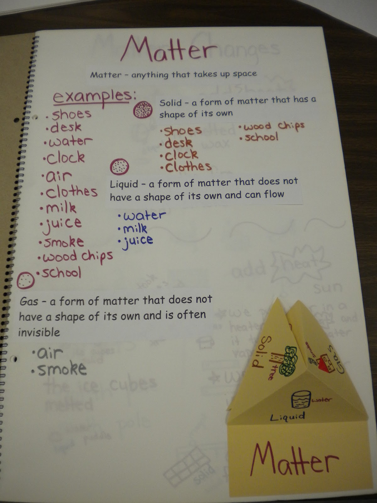 First Grade Randomness: Large Class Science Journal / Student ...