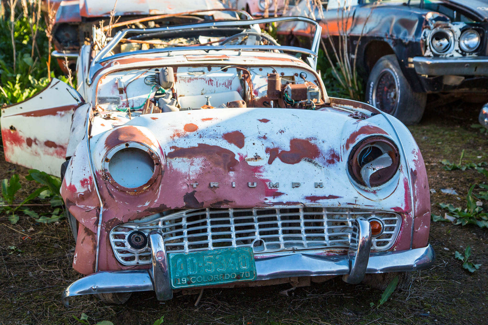 This Colorado Parts Yard has been Collecting Classic Cars for ...