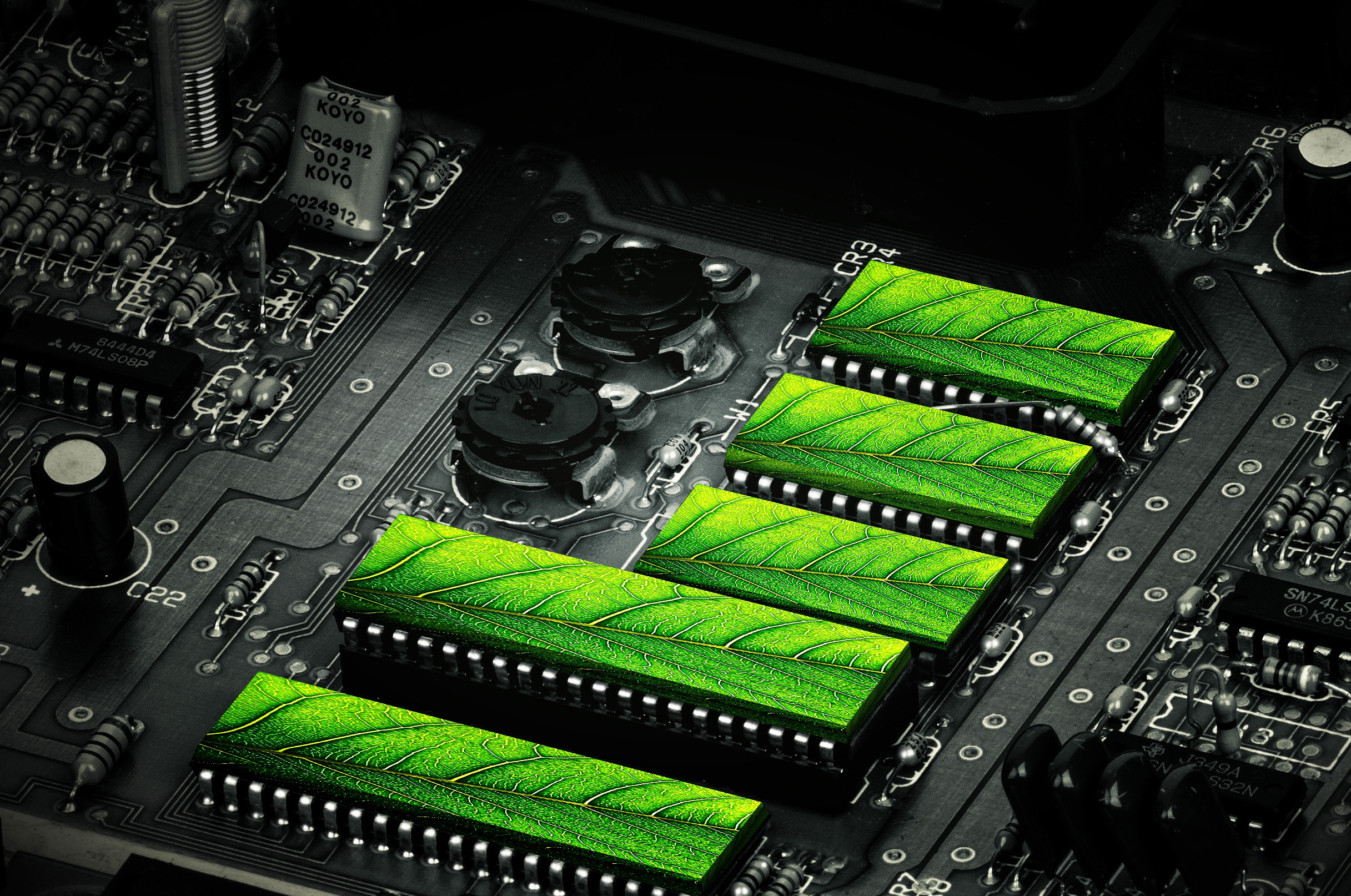 Clean technologies - motherboard and green leaves photo